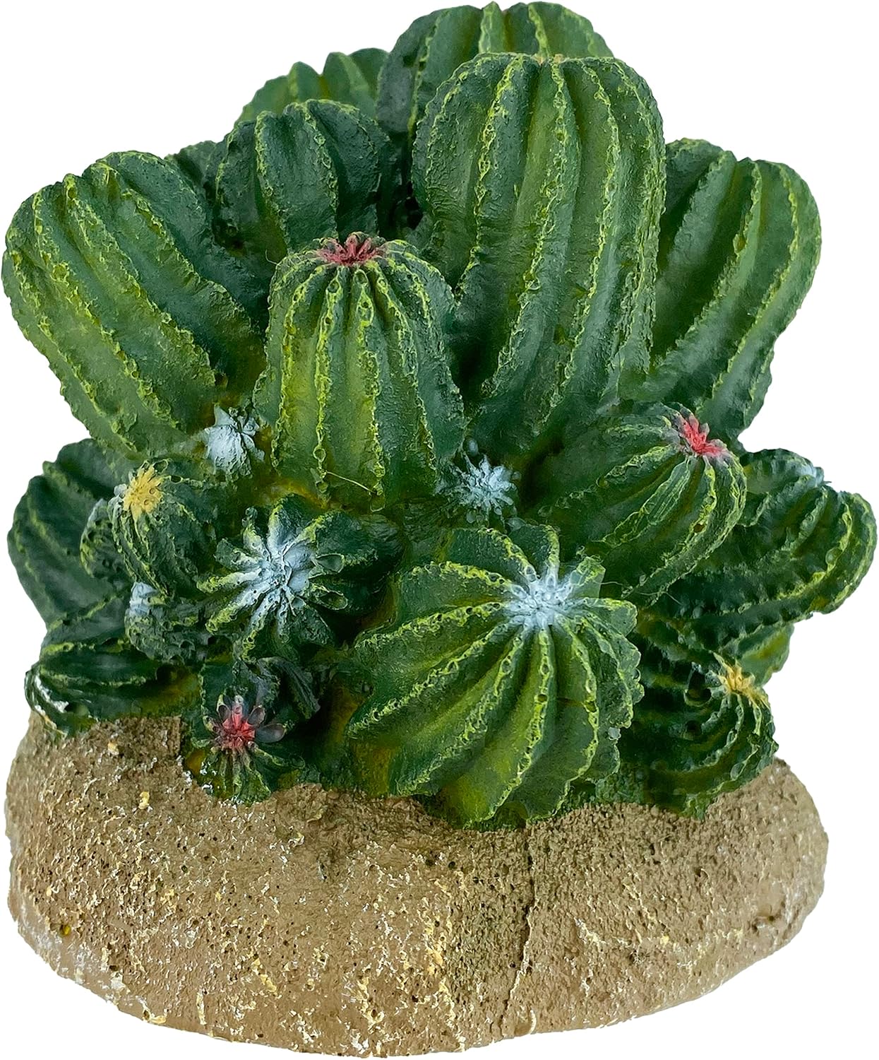 Multi Pet 48593321: Komodo Cactus Plant Barrel, 4In - Image 8