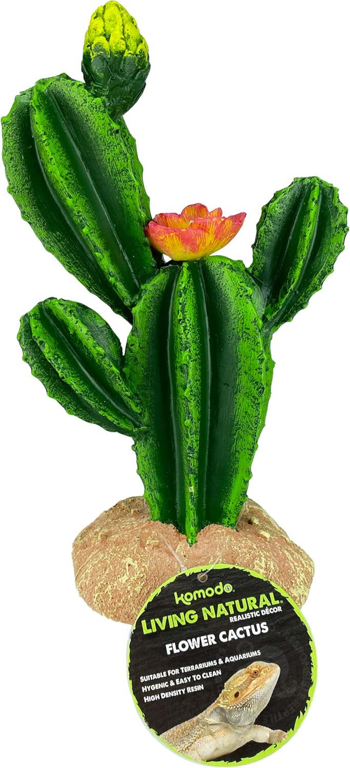 Multi Pet 48593323: Komodo Cactus Plant Flower, 9In - Image 5