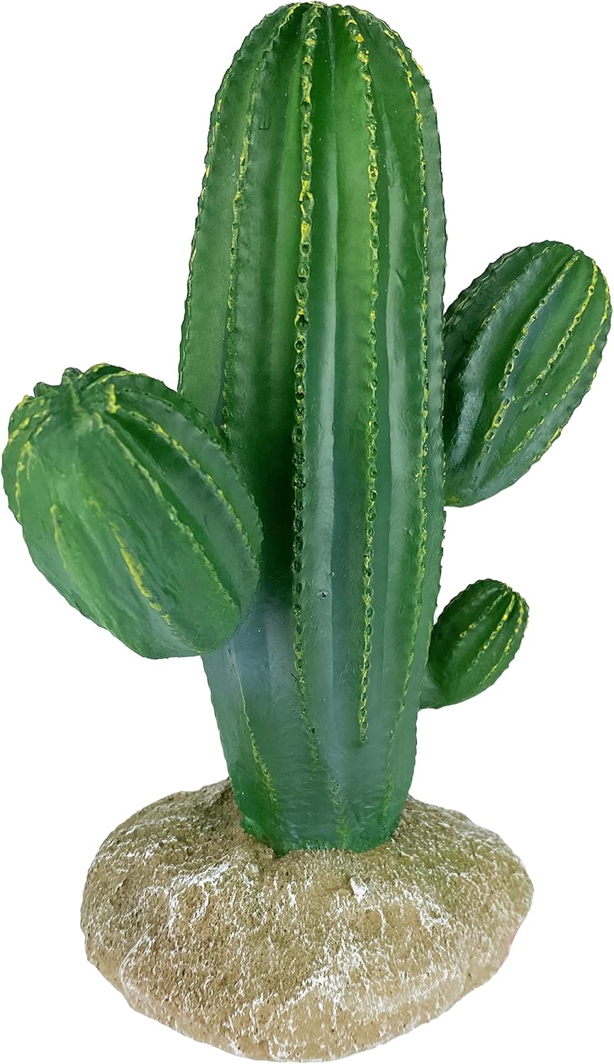 Multi Pet 48593324: Komodo Cactus Plant Saguaro, 9.5In - Image 3