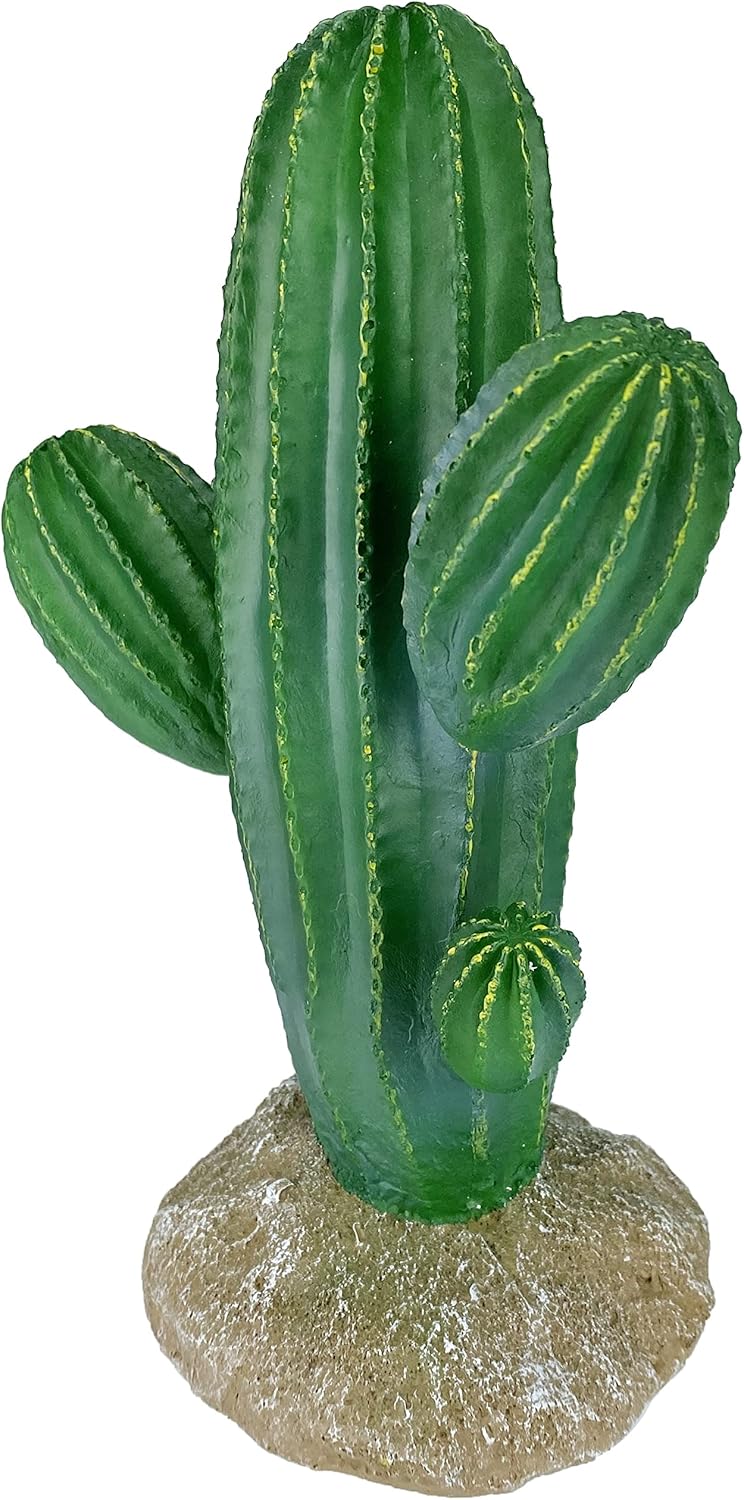 Multi Pet 48593324: Komodo Cactus Plant Saguaro, 9.5In - Image 4