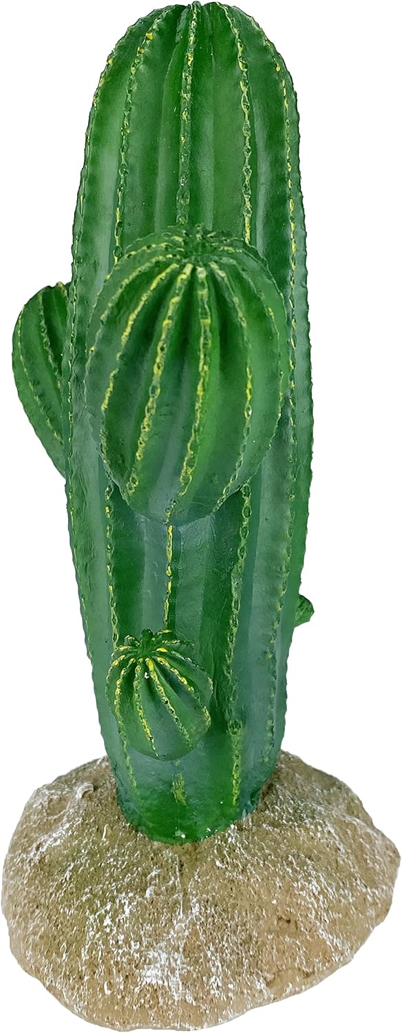 Multi Pet 48593324: Komodo Cactus Plant Saguaro, 9.5In - Image 5