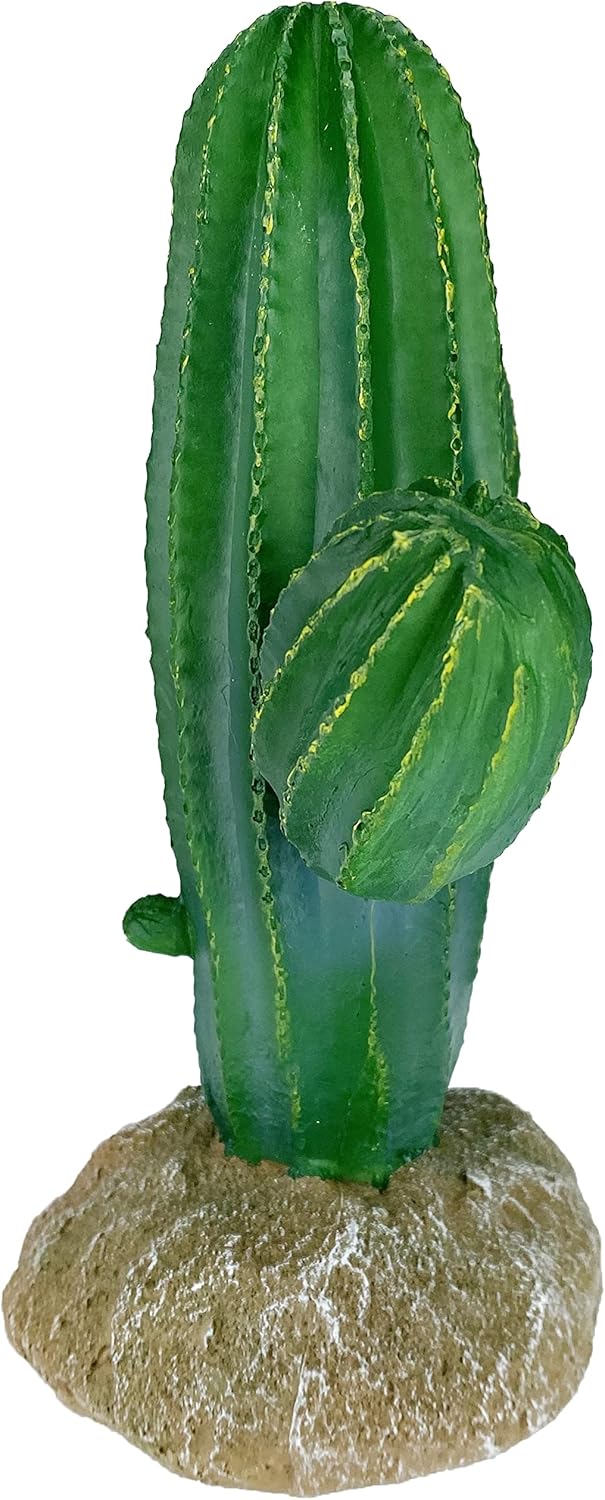 Multi Pet 48593324: Komodo Cactus Plant Saguaro, 9.5In - Image 6