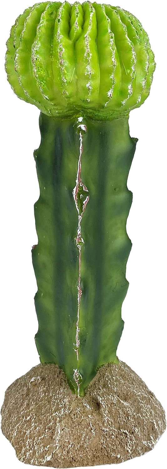 Multi Pet 48593325: Komodo Cactus Plant Moon, 7.5In - Image 2