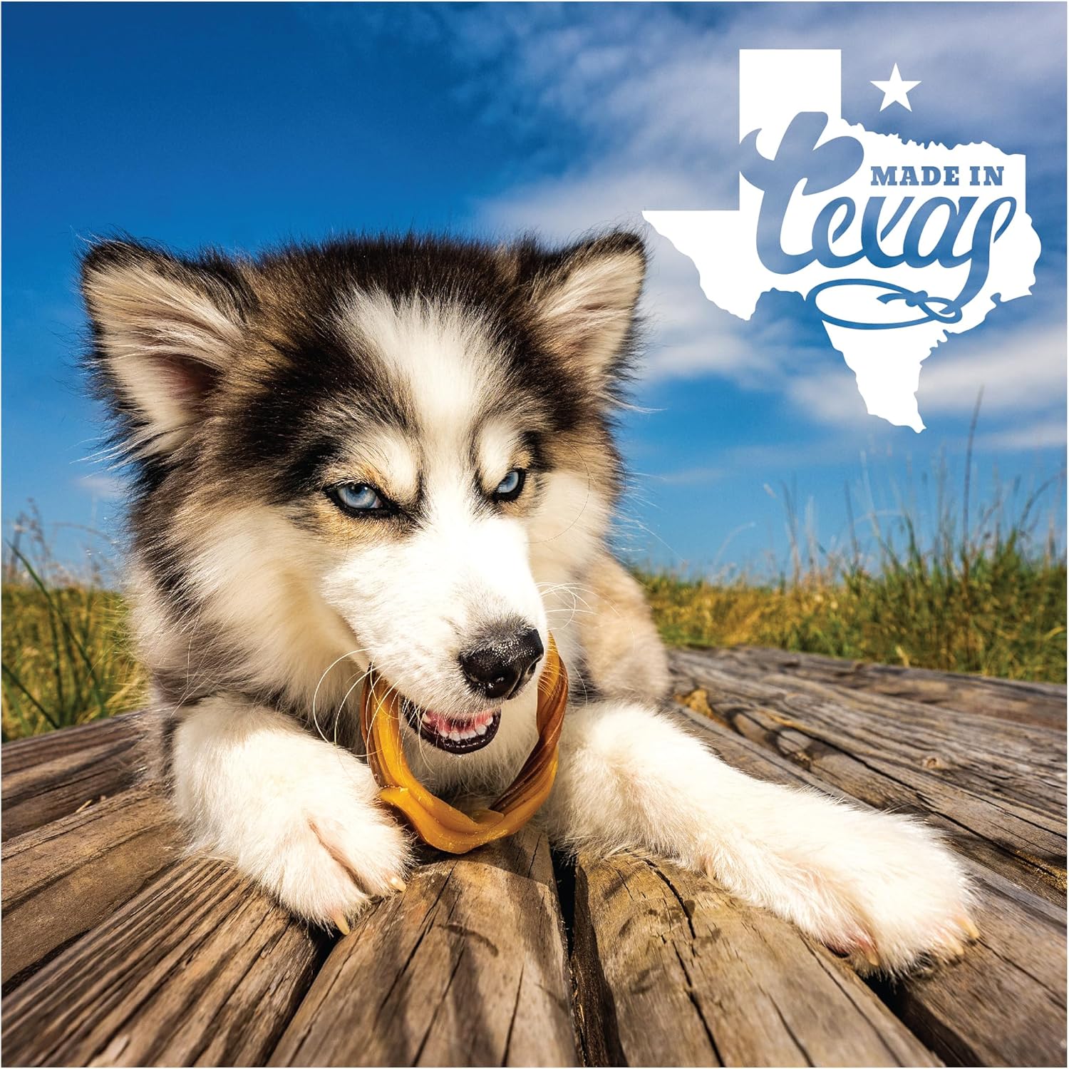 N-Bone Puppy Teething Rings Taste of Texas Queso Con Carne Flavor 3 Count - Image 5
