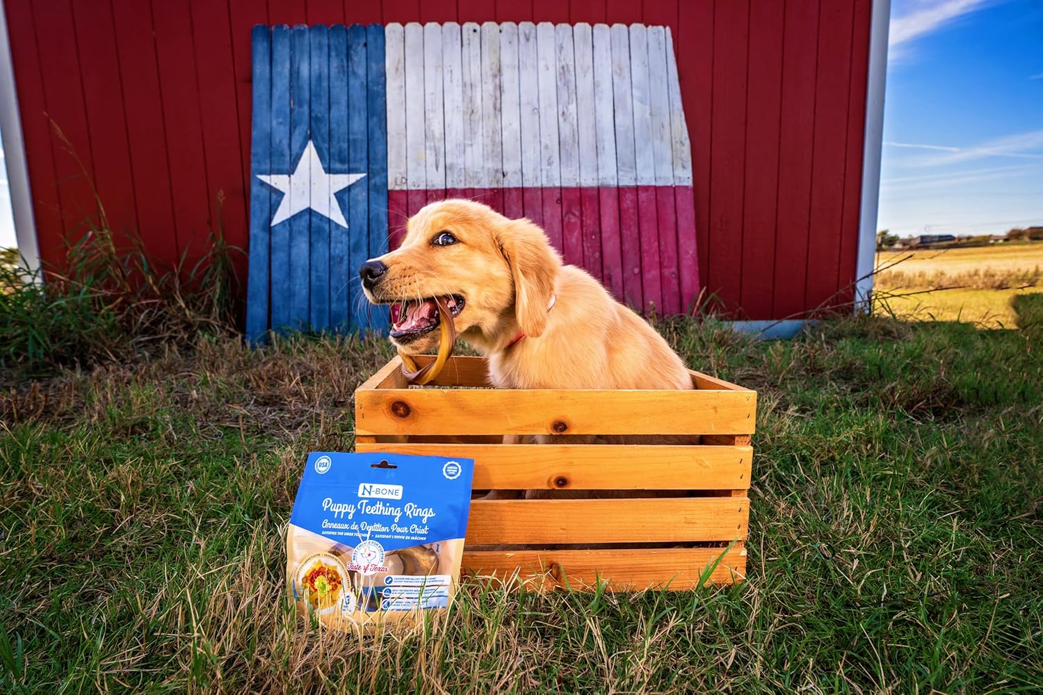 N-Bone Puppy Teething Rings Taste of Texas Queso Con Carne Flavor 3 Count - Image 8