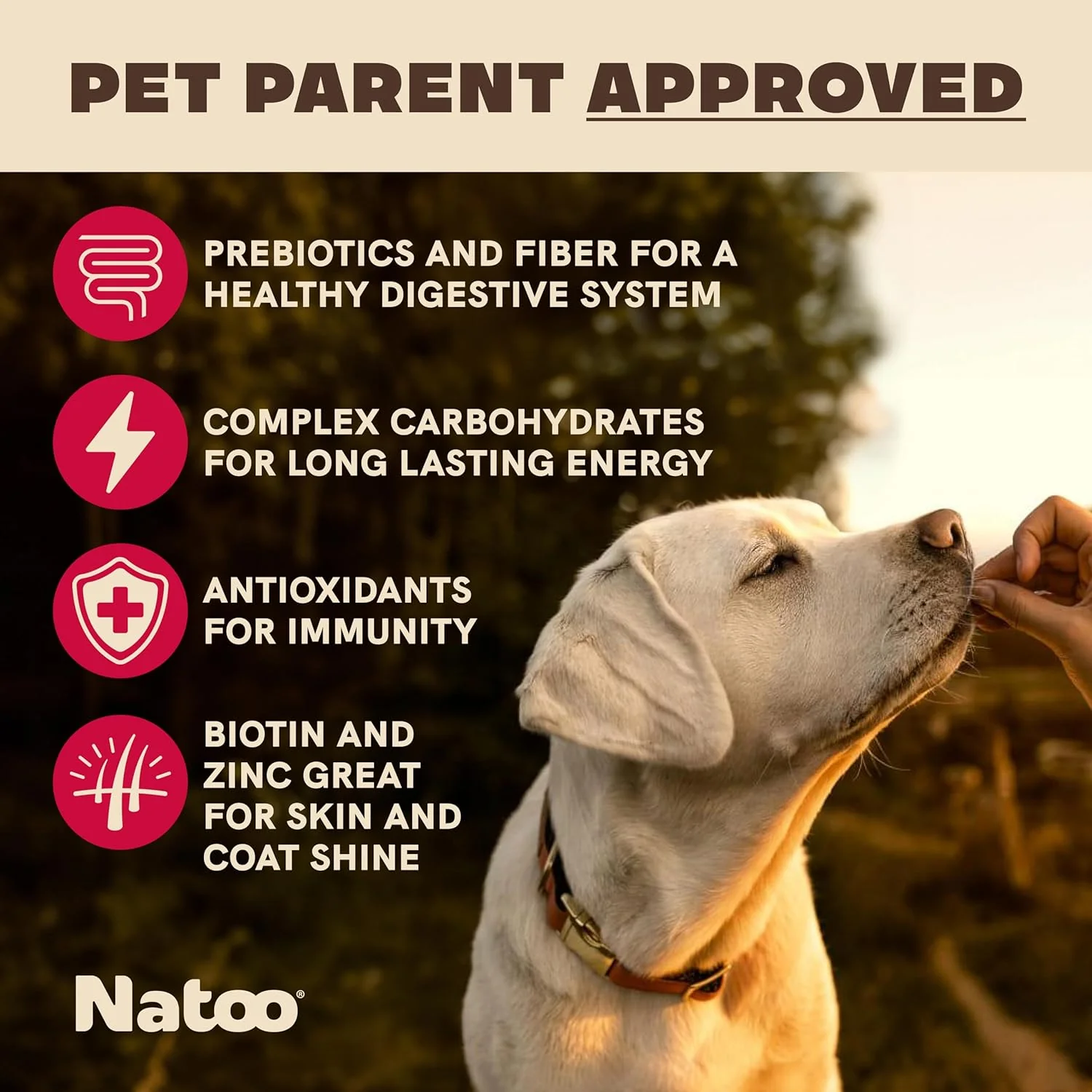NATOO Biscuits for Small Dogs & Puppies Crunchy Dog Treats, Oats & Berry Healthy Natural Canine Biscuits, Rich in Omega 6, Prebiotics & Fibers, Antioxidants for Immunity (8 oz) - Image 2