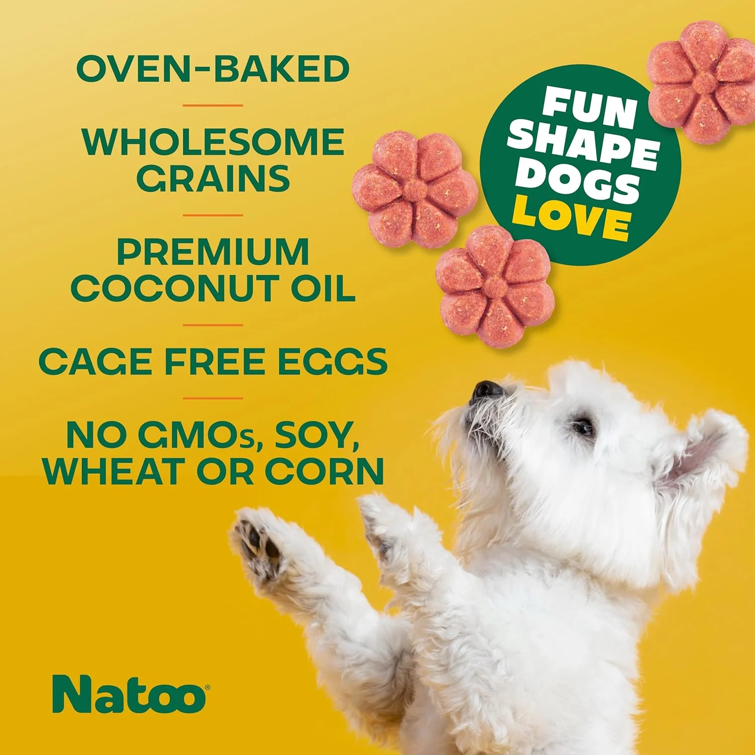 NATOO Biscuits for Small Dogs & Puppies Crunchy Dog Treats, Oats & Berry Healthy Natural Canine Biscuits, Rich in Omega 6, Prebiotics & Fibers, Antioxidants for Immunity (8 oz) - Image 3