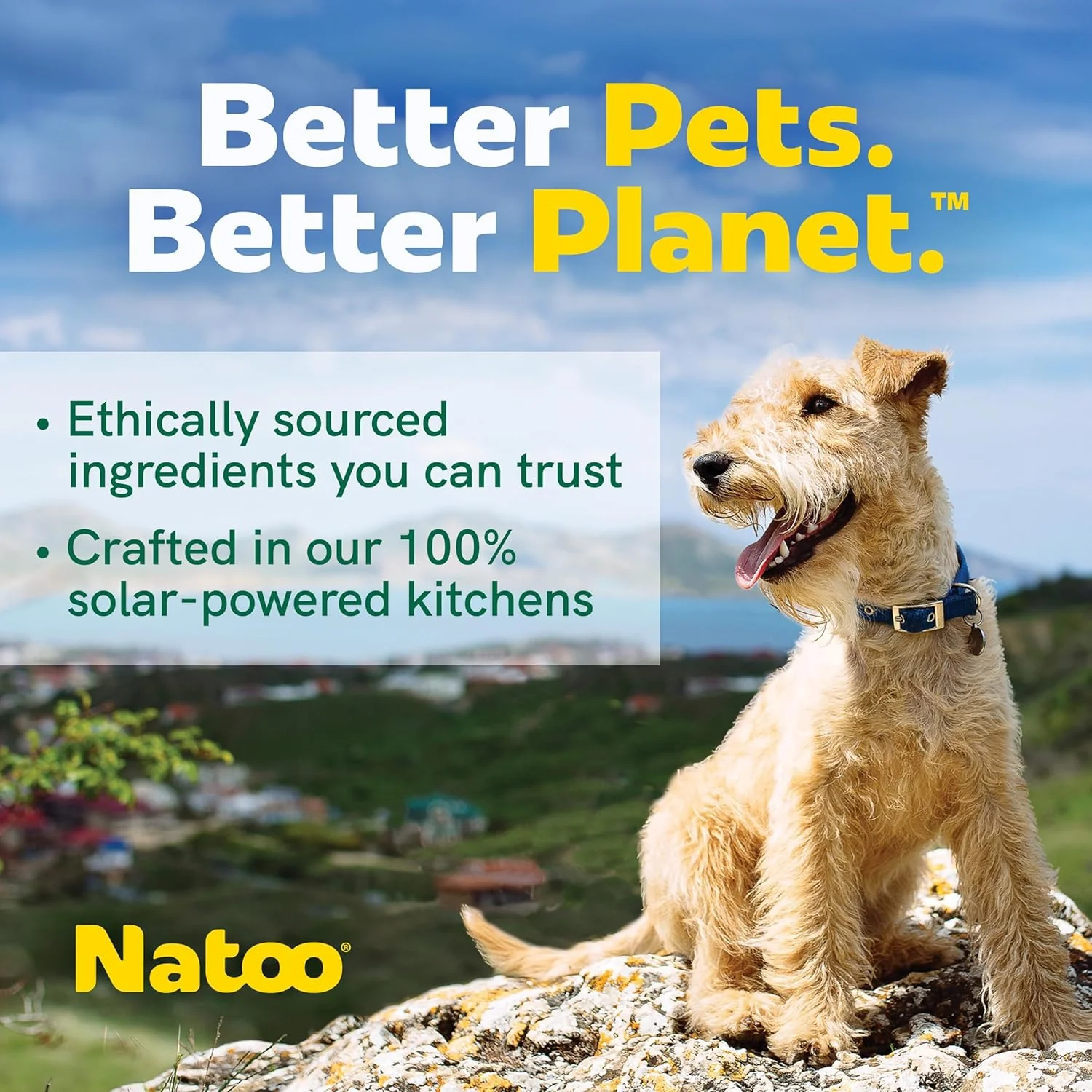 NATOO Biscuits for Small Dogs & Puppies Crunchy Dog Treats, Oats & Berry Healthy Natural Canine Biscuits, Rich in Omega 6, Prebiotics & Fibers, Antioxidants for Immunity (8 oz) - Image 4