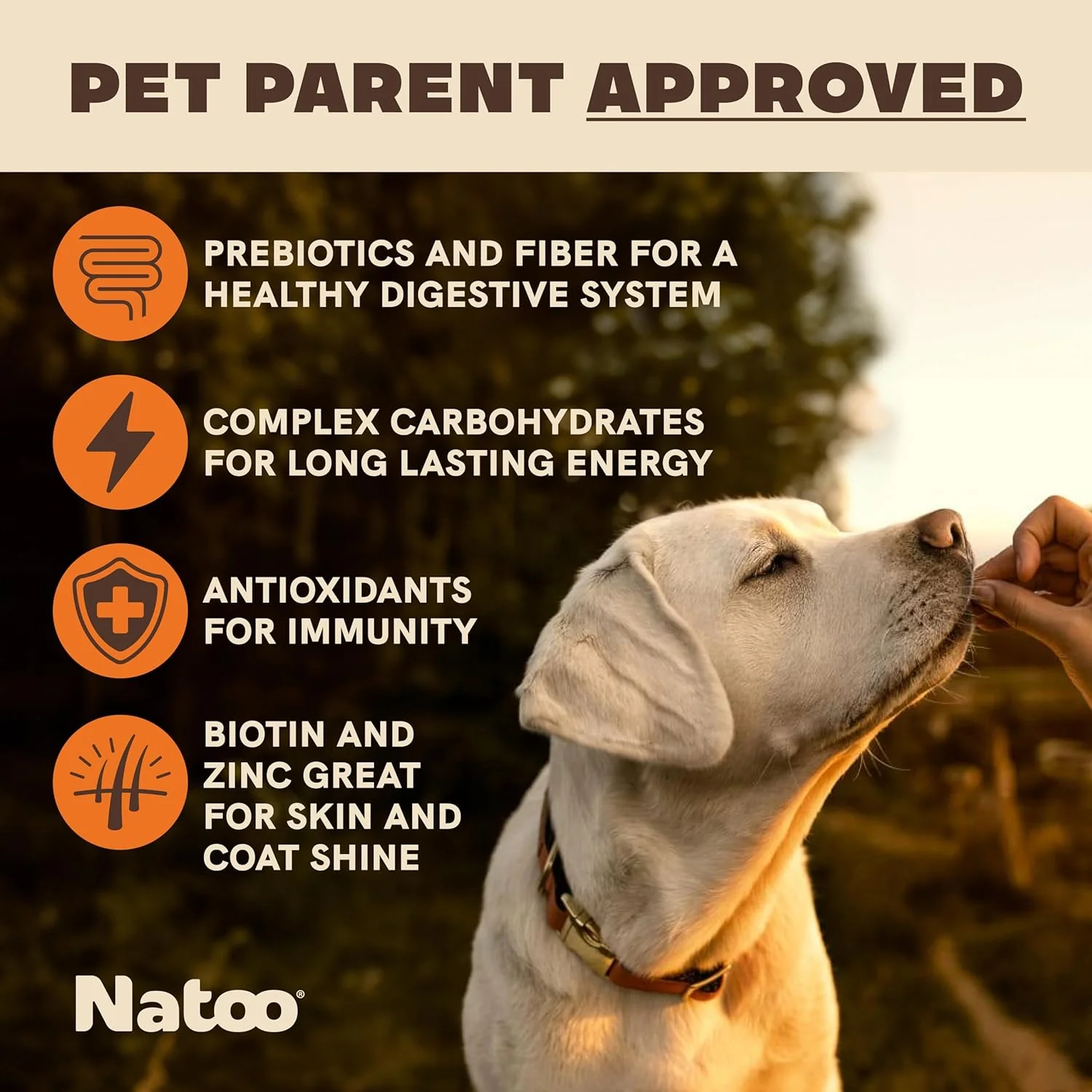 NATOO Biscuits for Small Dogs & Puppies Crunchy Dog Treats, Sweet Potato & Pumpkin Healthy Natural Canine Biscuits, Rich in Omega 6, Prebiotics & Fibers, Antioxidants for Immunity (8 oz) - Image 2