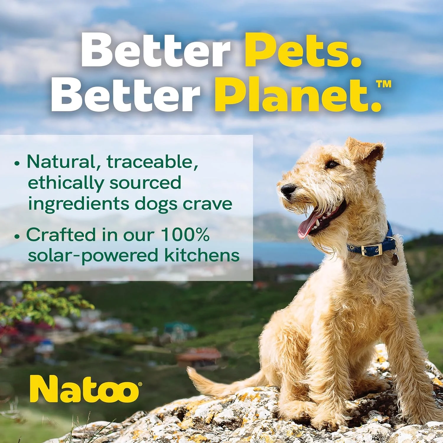 Natoo Dog Food Topper for Picky Eaters, Dog Treat (Chicken, Carrot, Brown Rice, & Quinoa) Dog Toppers for Dry Food, Wet Meal Toppers for Dogs & Puppies, Limited Ingredient Dog Food (Case of 20) 3oz Ea - Image 3
