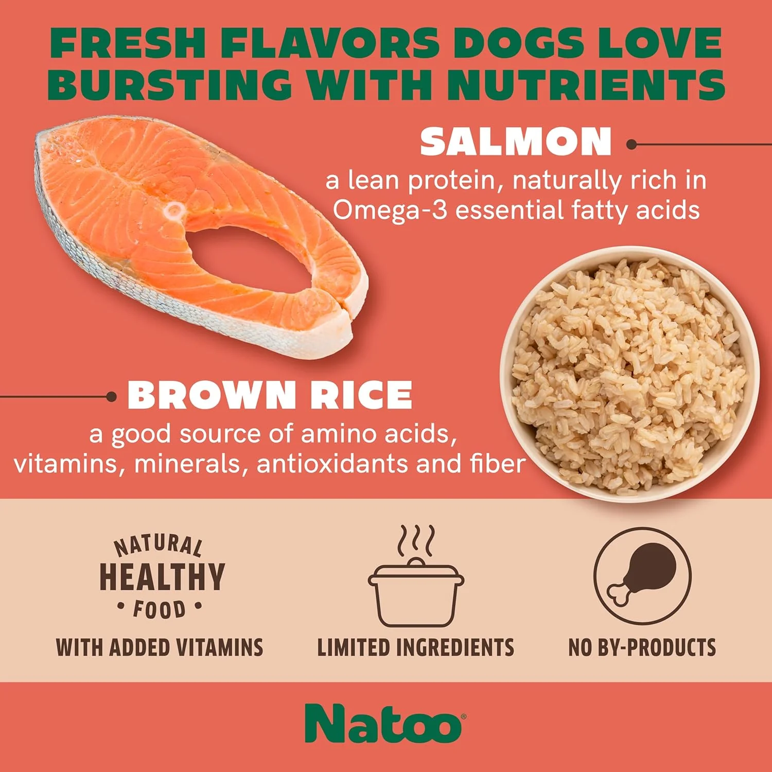 NATOO Dog Food Topper for Picky Eaters & Dog Treat (Salmon with Brown Rice), Dog Toppers for Dry Food, Wet Meal Toppers for Dogs & Puppies, Limited Ingredient Dog Food, 3 oz (Case of 20) - Image 2