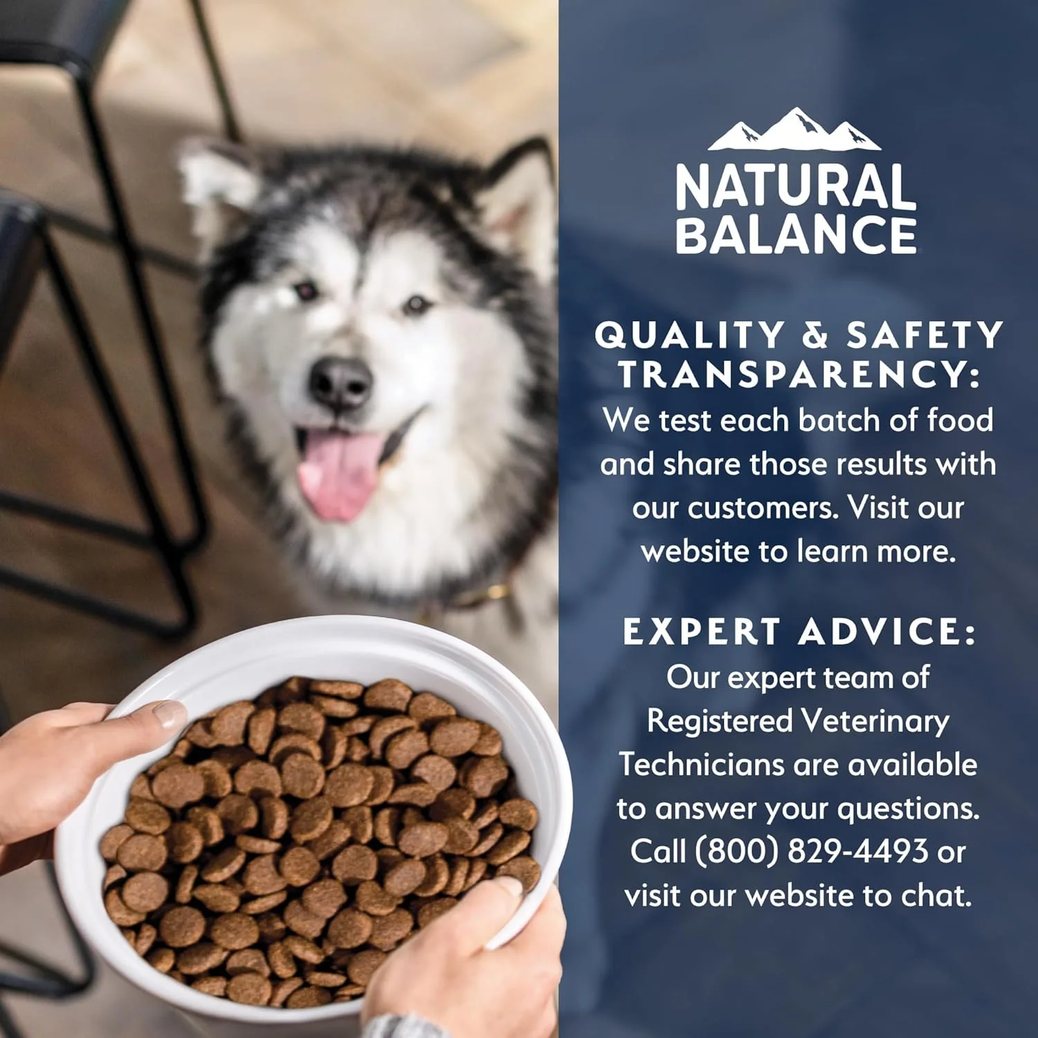 Natural Balance Health Protection Dry Dog Food – Whole Body Health, Easy on Digestion Dog Food Made with Lamb, Brown Rice & Pumpkin for Dogs - 24lbs. - Image 8