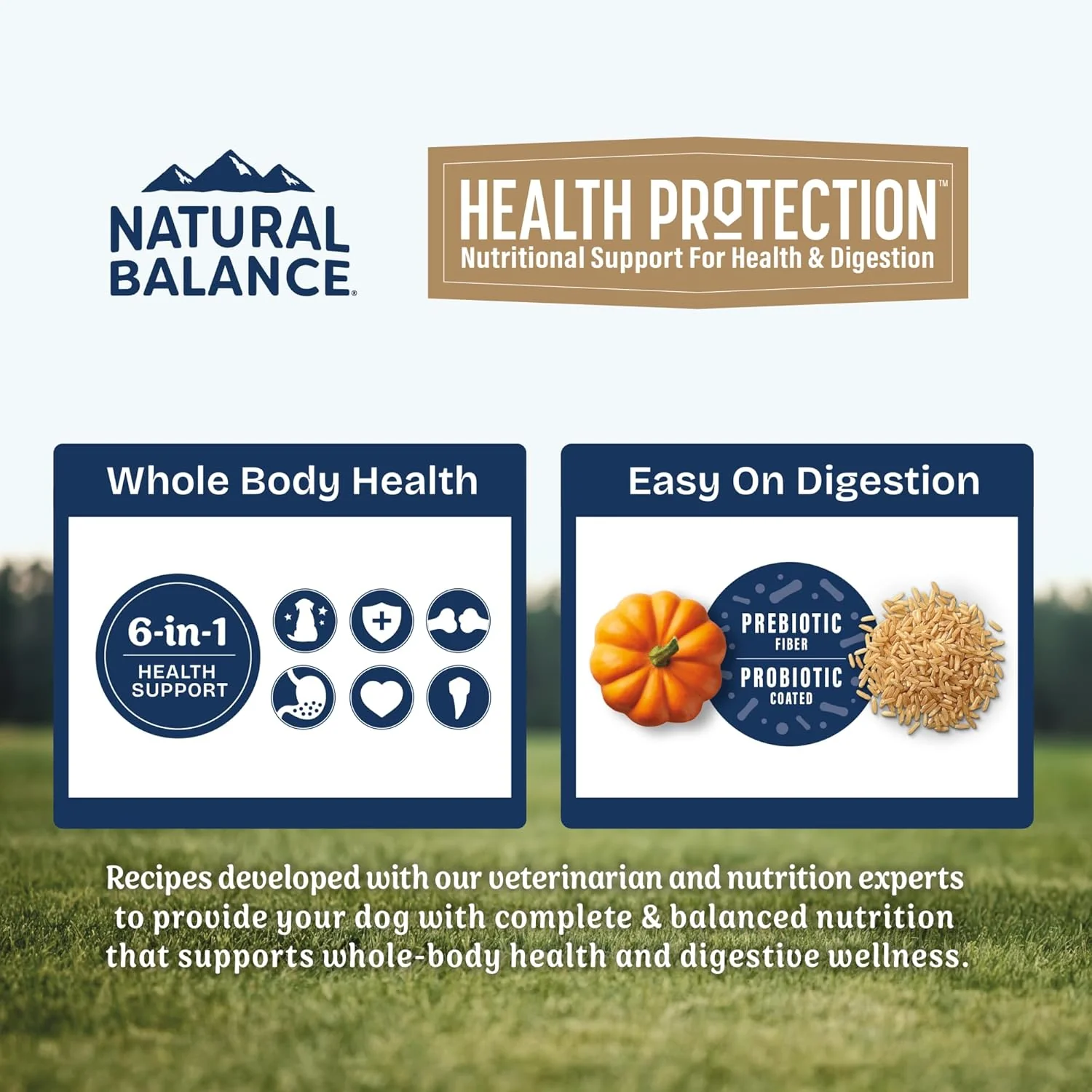 Natural Balance Health Protection Dry Dog Food – Whole Body Health, Easy on Digestion Dog Food Made with Salmon, Brown Rice & Pumpkin for Dogs - 4lbs. - Image 8