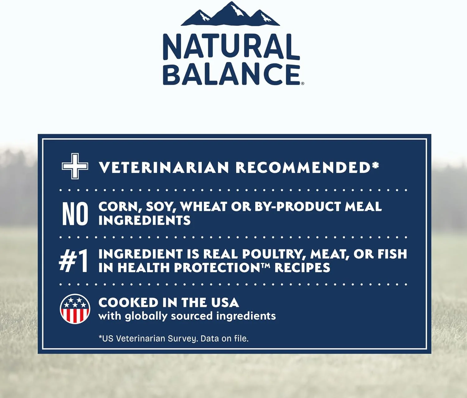 Natural Balance Health Protection Dry Dog Food – Whole Body Health, Easy on Digestion Dog Food Made with Lamb, Brown Rice & Pumpkin for Dogs - 4lbs - Image 7
