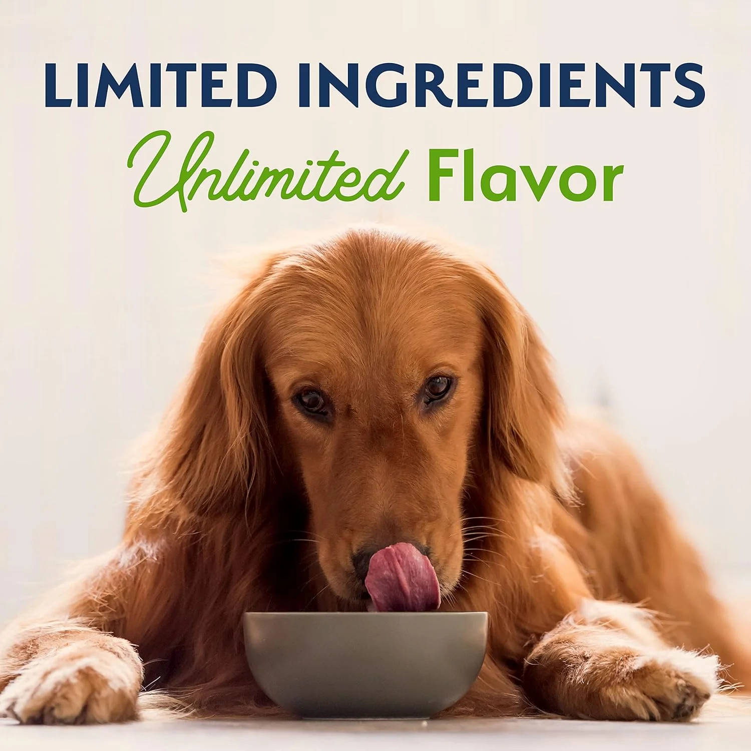 Natural Balance Limited Ingredient Adult Dry Dog Food with Vegan Plant Based Protein and Healthy Grains, Vegetarian Recipe, 12 Pound (Pack of 1) - Image 7
