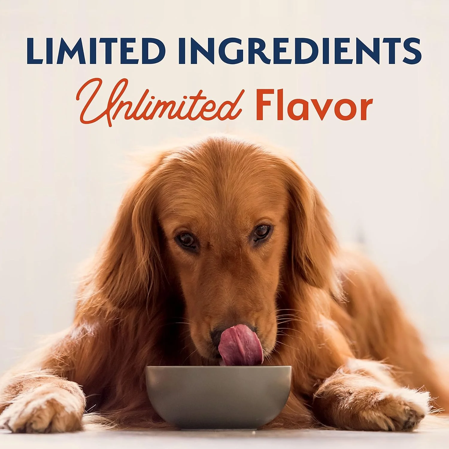 Natural Balance Limited Ingredient Adult Grain-Free Dry Dog Food, Salmon & Sweet Potato Recipe - Image 9