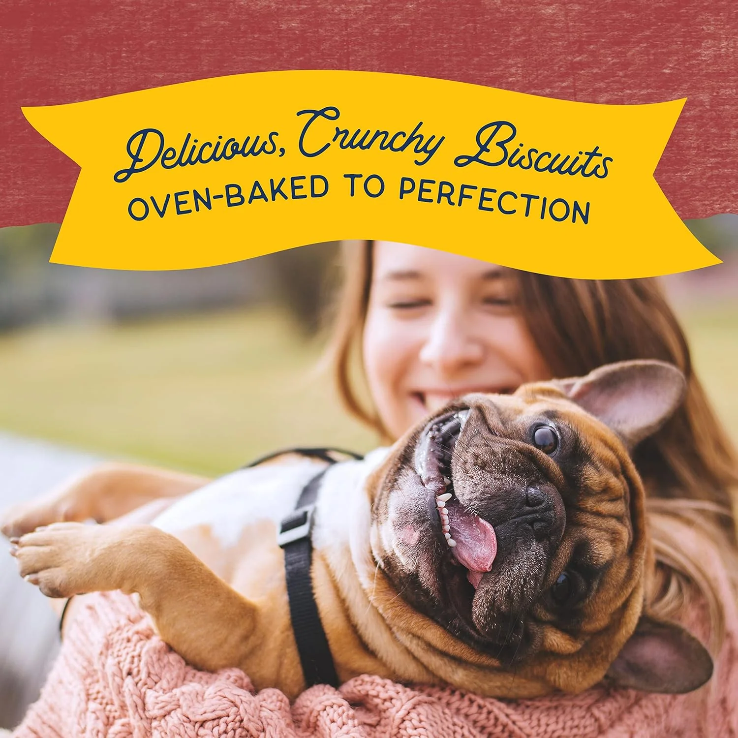 Natural Balance Limited Ingredient Rewards Crunchy Biscuits, Grain-Free Dog Treats for Adult Dogs of All Breeds, Sweet Potato & Bison Recipe, 14 Ounce (Pack of 1) - Image 5