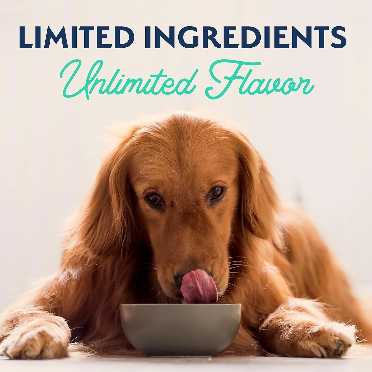 Natural Balance Limited Ingredient Diet Chicken & Sweet Potato | Adult Grain-Free Wet Canned Dog Food | 13-oz. Can, (Pack of 12) - Image 10