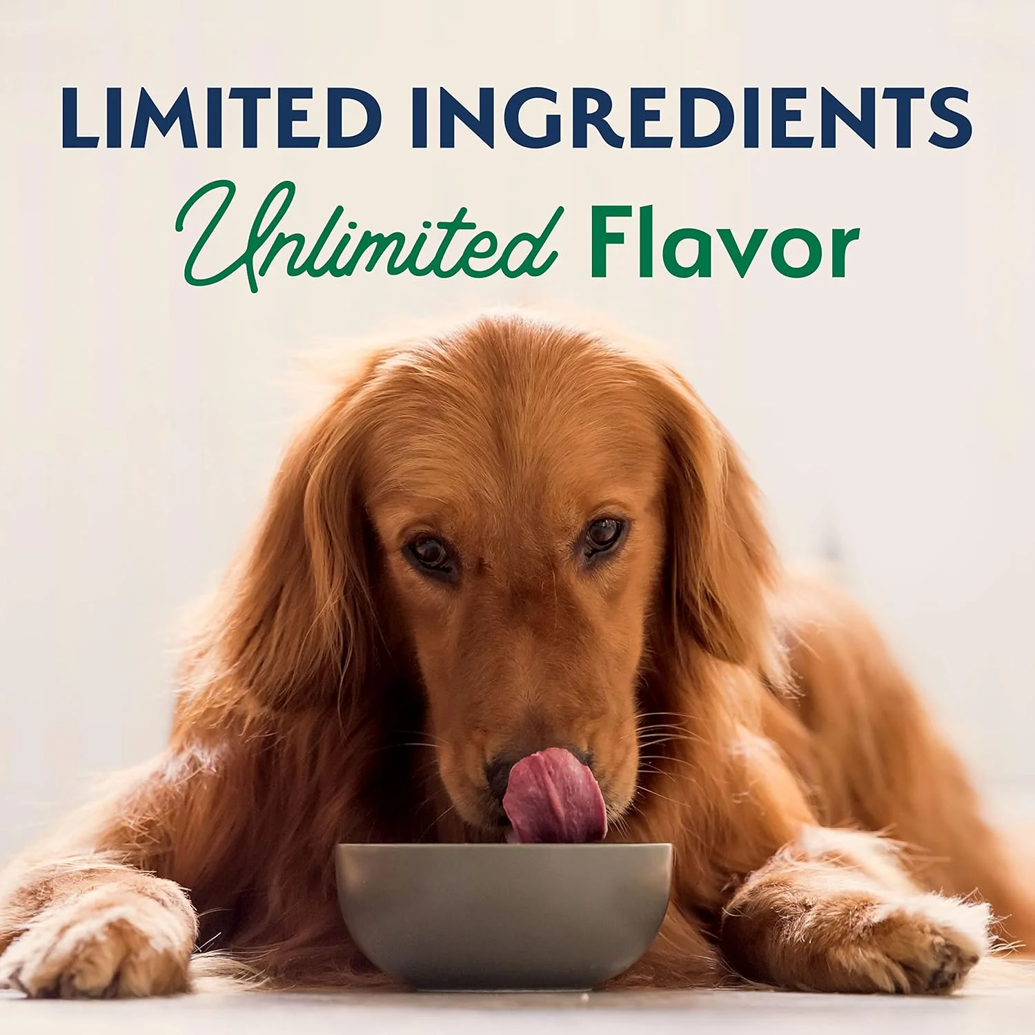 Natural Balance Limited Ingredient Adult Dry Dog Food with Healthy Grains, Lamb & Brown Rice Recipe, 12 Pound (Pack of 1) - Image 8