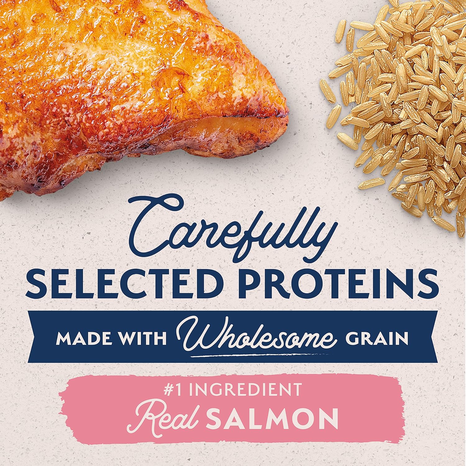 Natural Balance Limited Ingredient Adult Dry Dog Food with Healthy Grains, Salmon & Brown Rice Recipe - Image 7