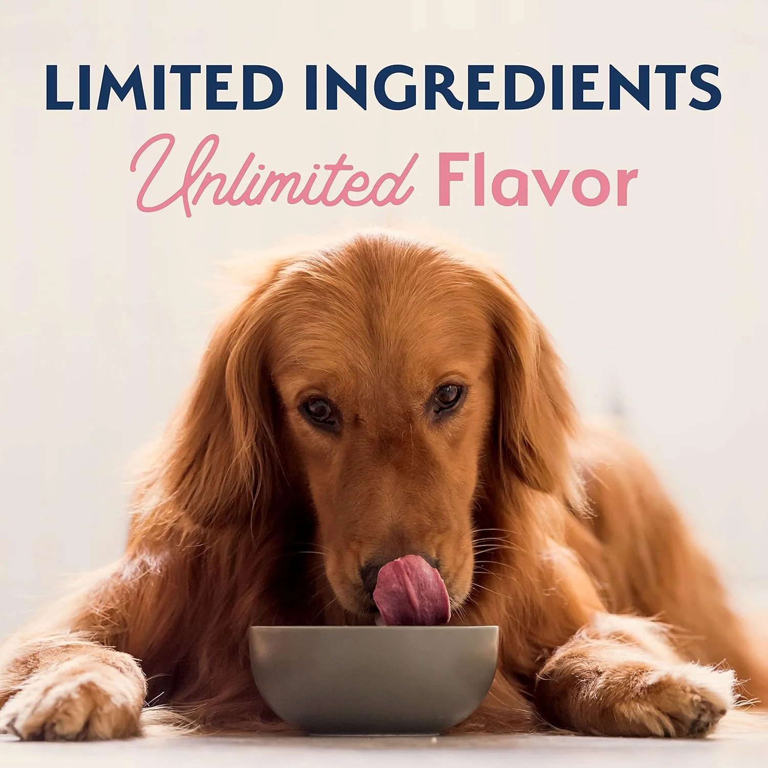 Natural Balance Limited Ingredient Adult Dry Dog Food with Healthy Grains, Salmon & Brown Rice Recipe - Image 8