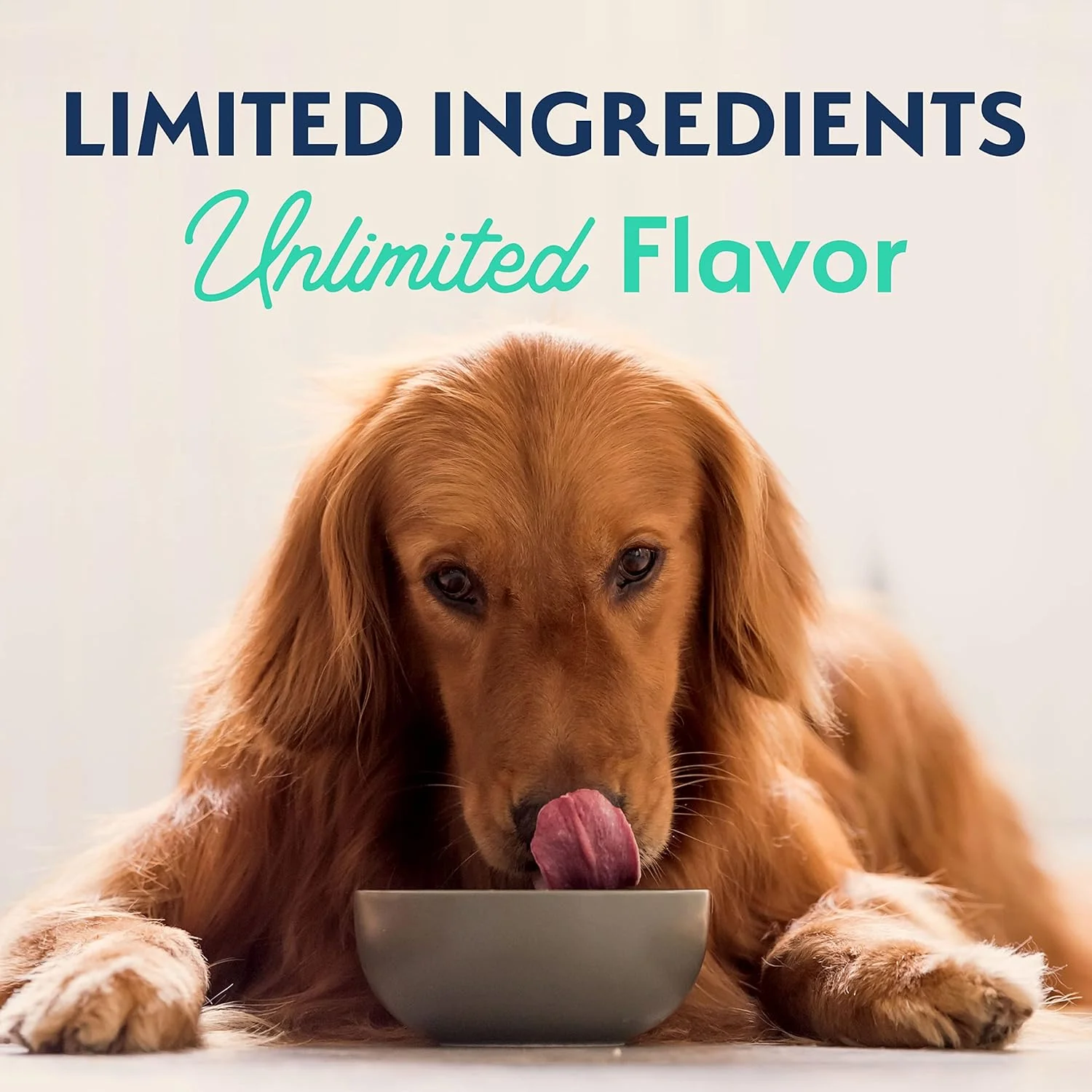 Natural Balance Limited Ingredient Adult Grain Free-Dry Dog Food, Chicken & Sweet Potato Recipe - Image 8