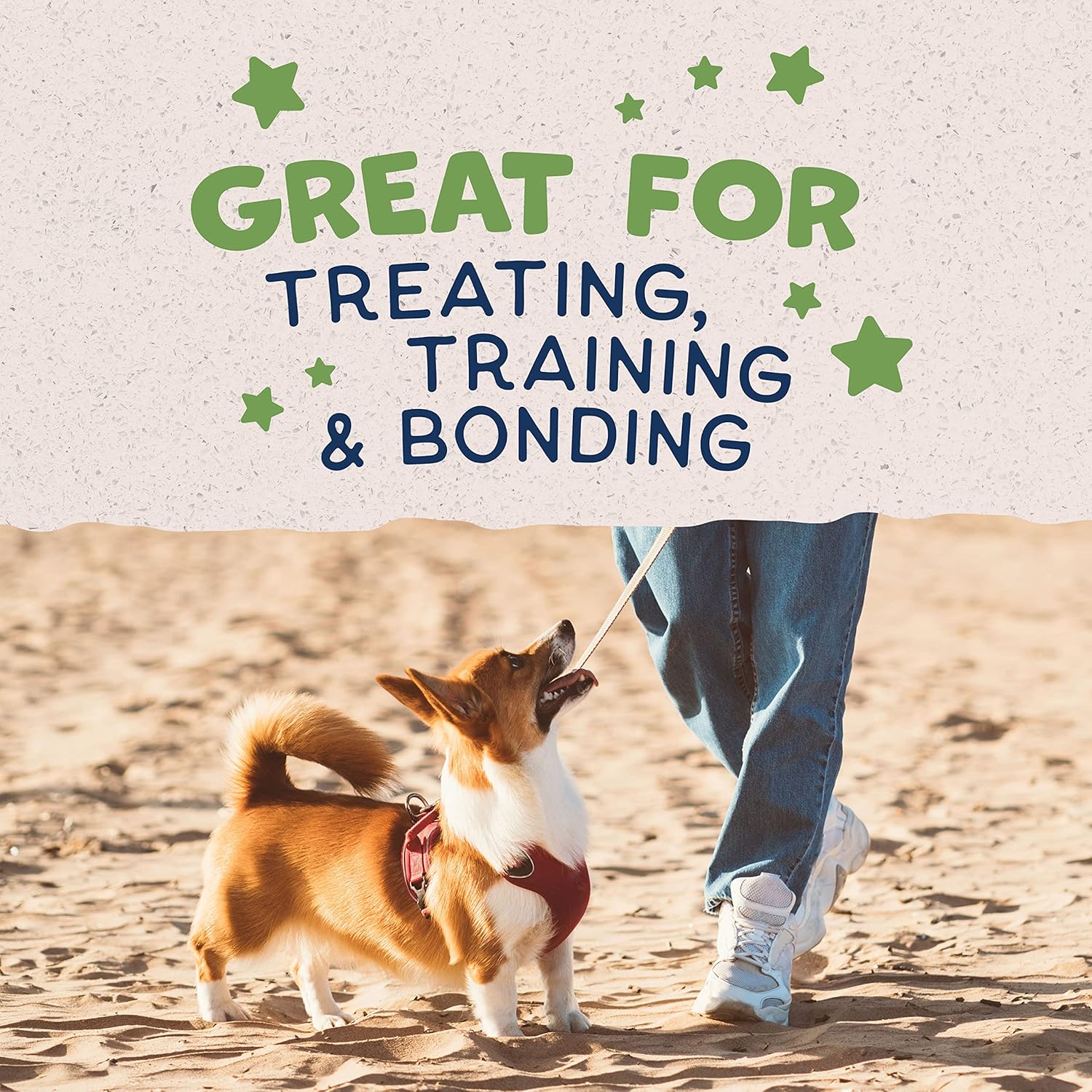 Natural Balance Limited Ingredient Rewards Crunchy Biscuits, Bite-Size Vegetarian Dog Treats for Small-Breed Adult Dogs, Peanut Butter Recipe, 8 Ounce (Pack of 1) - Image 4