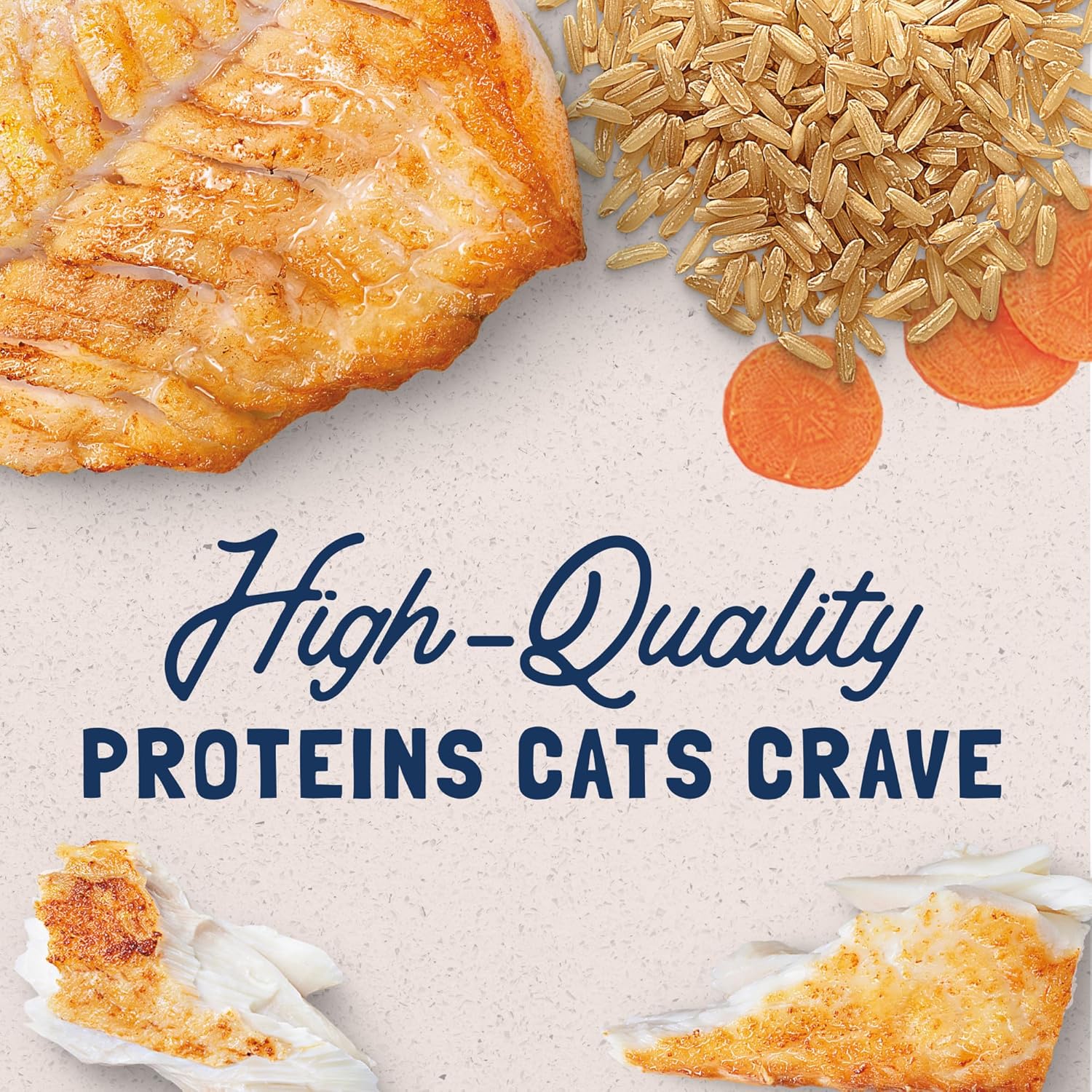 Natural Balance Ultra Premium Ocean Fish Cat Food | Wet Canned Food for Cats | 5.5-oz. Can, (Pack of 24) - Image 4