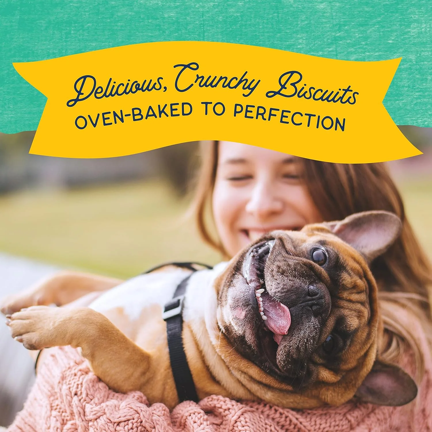 Natural Balance Limited Ingredient Rewards Crunchy Biscuits, Grain-Free Dog Treats for Adult Dogs of All Breeds, Chicken & Sweet Potato Recipe - Image 5
