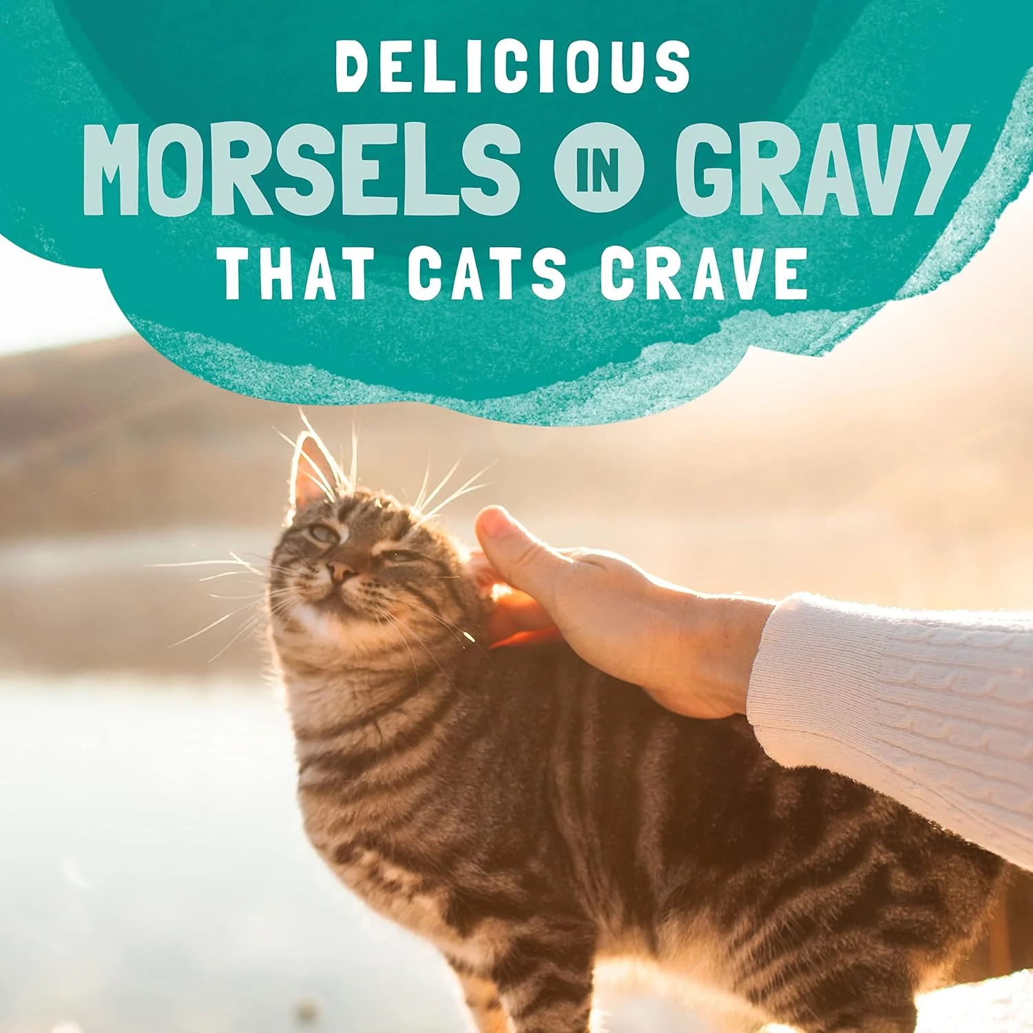 Natural Balance Original Ultra Platefulls Adult Grain-Free Wet Cat Food, Chicken & Salmon Recipe, 3 Ounce Pouch (Pack of 4) - Image 7