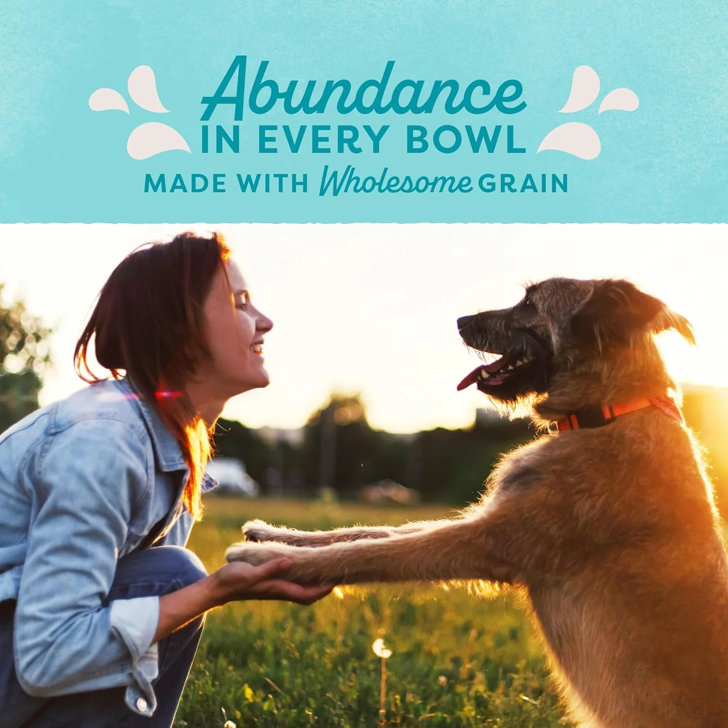 Natural Balance Original Ultra Adult Dry Dog Food with Superfood Blend and Healthy Grains, Chicken & Barley Recipe, 24 Pound (Pack of 1) - Image 10