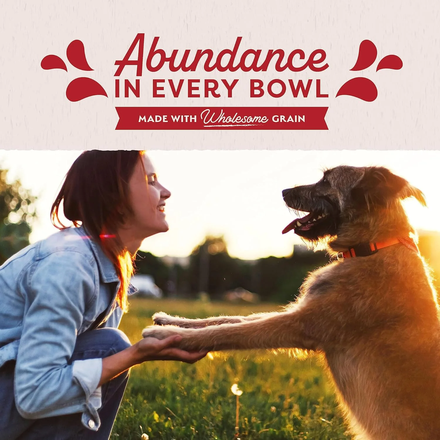 Natural Balance Ultra Premium Wet Dog Food, Beef Formula with Potatoes, Carrots & Brown Rice, 13 Ounce Can (Pack of 12) - Image 9