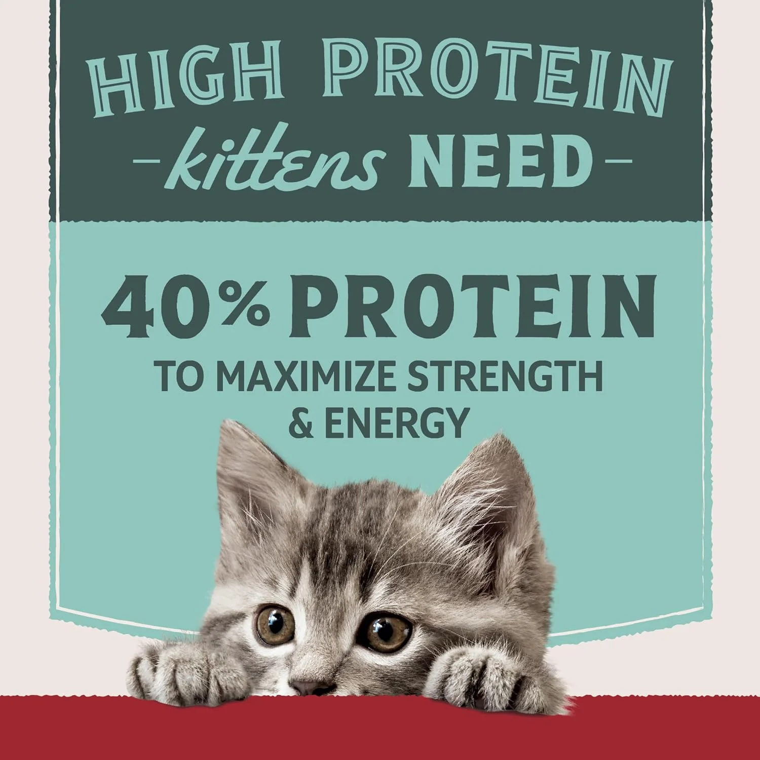 Natural Balance Ultra Protein Kitten Dry Cat Food, Real Chicken & Chicken Meal Recipe, 6 lbs. - Image 4