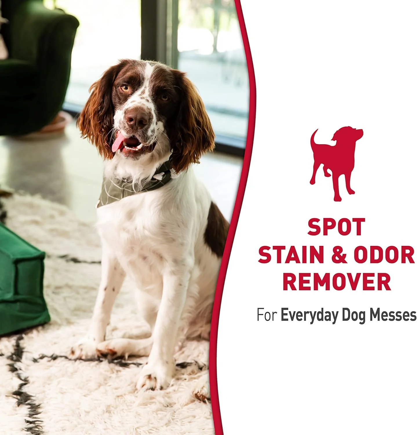 Nature’s Miracle® Stain & Odor Remover, Tough on Dog Urine, Feces, Vomit, Drool and Other Organic Stains and Odors, 1 Gallon - Image 3
