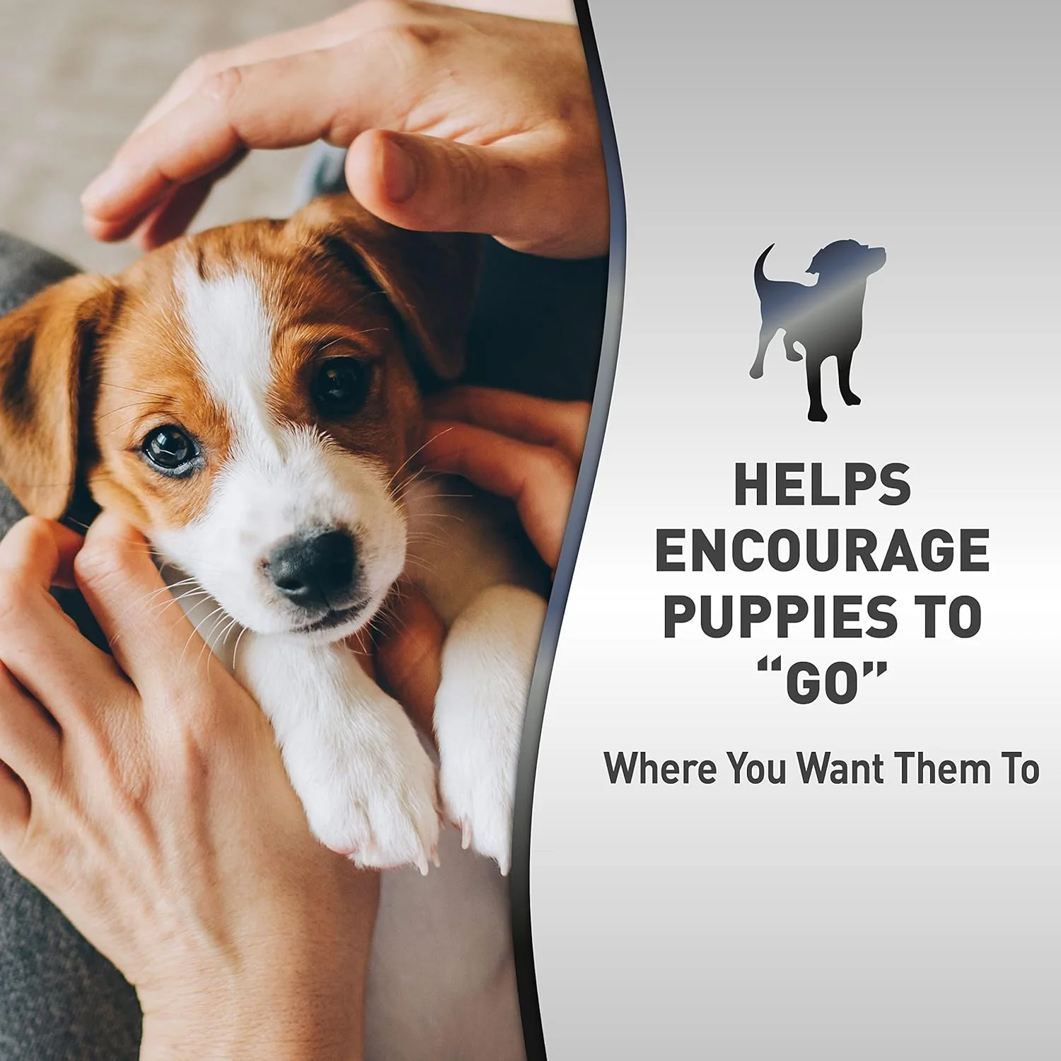 Nature’s Miracle Advanced Platinum Puppy Potty Training Spray, Dog Training Aid - Image 3