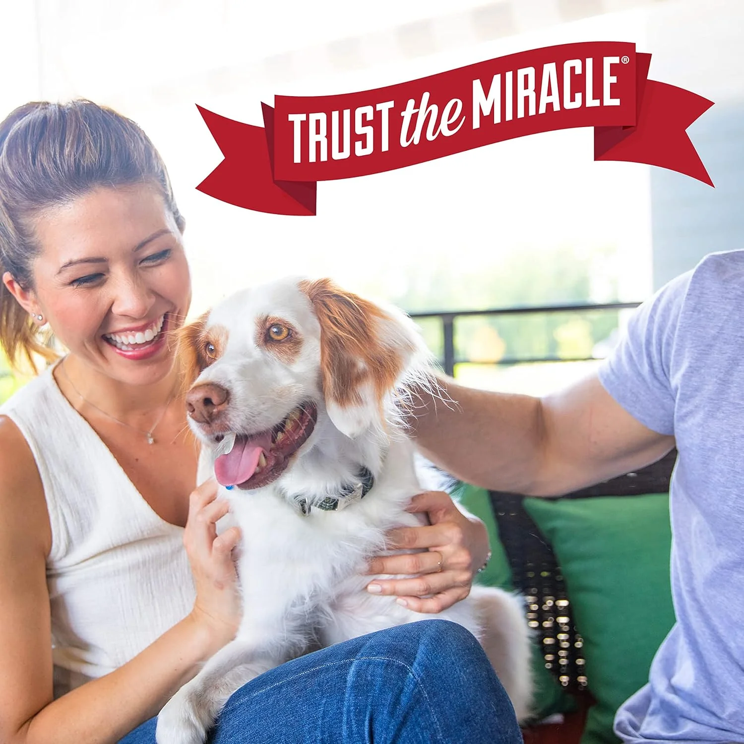 Nature's Miracle Dog Stain and Odor Remover, Everyday Mess Enzymatic Formula, Melon Burst Scent, 32 oz - Image 10