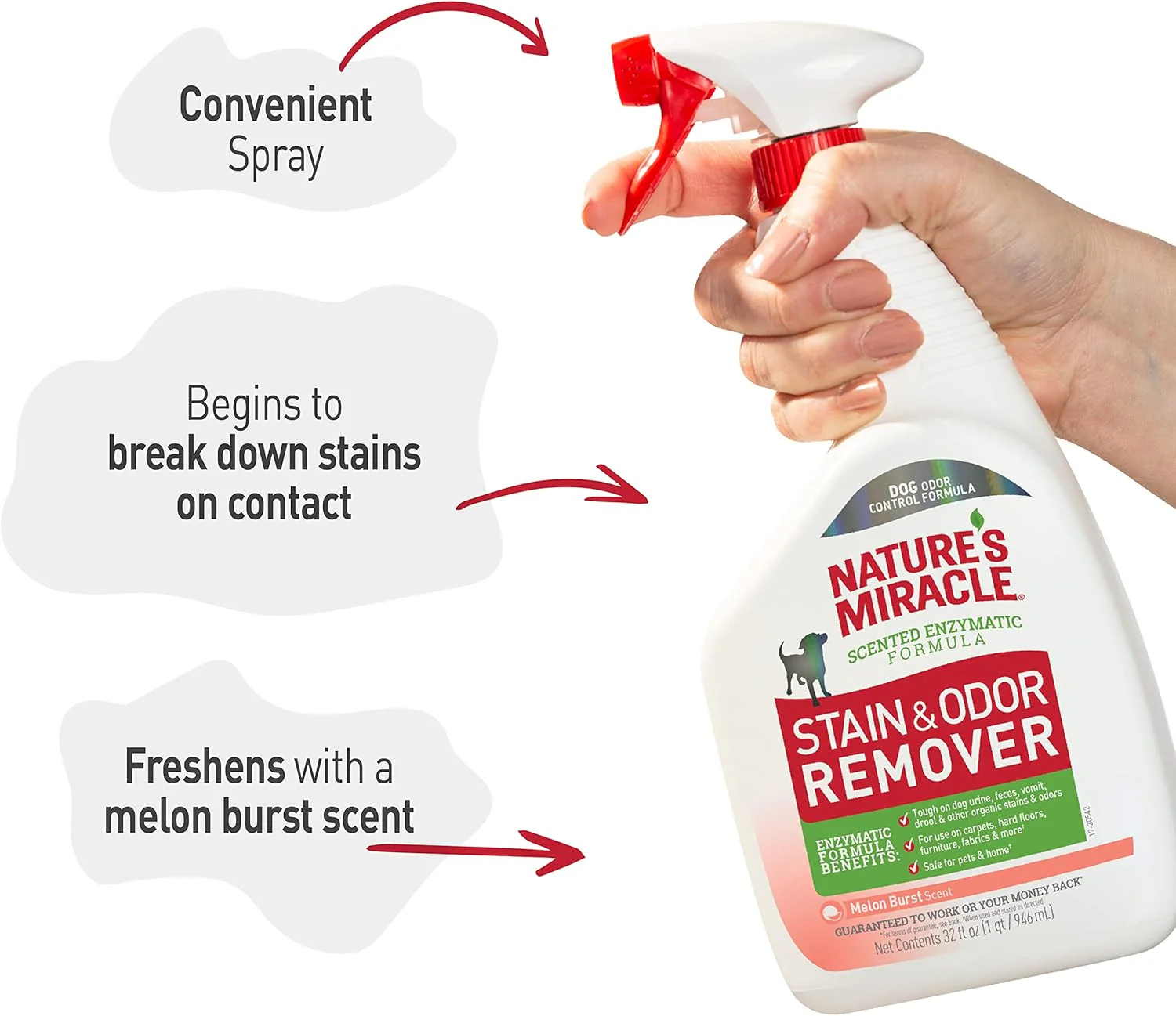 Nature's Miracle Dog Stain and Odor Remover, Everyday Mess Enzymatic Formula, Melon Burst Scent, 32 oz - Image 7