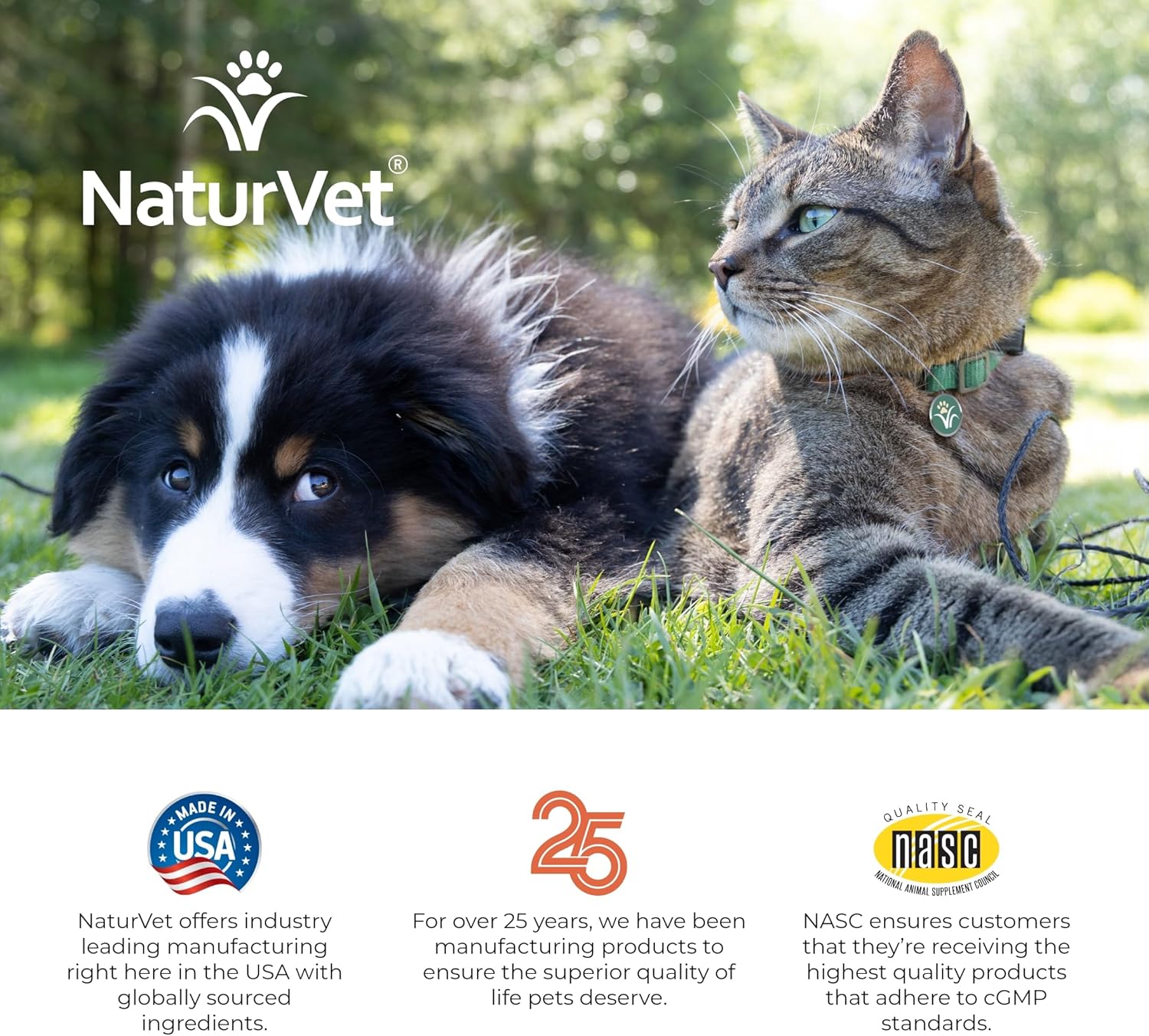 NaturVet All-in-One Dog Supplement - for Joint Support, Digestion, Skin, Coat Care – Dog Multivitamins with Minerals, Omega-3, 6, 9 – Wheat-Free Vitamins for Dogs – 13-Ounce Powder - Image 5