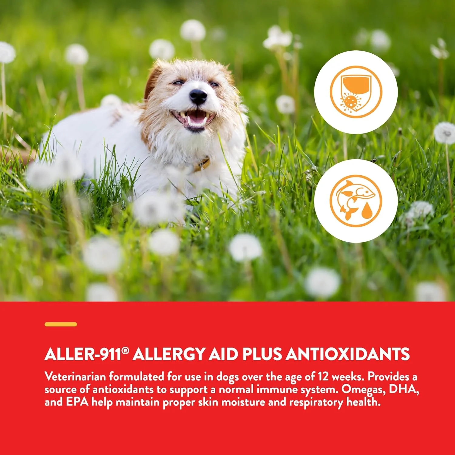 NaturVet Aller-911 Advanced Allergy Aid for Dogs, Cats – Antioxidant-Rich Pet Supplement with Omegas, DHA, EPA – Helps Support Dog Immune System, Cat Respiratory Health, Skin Moisture 70 Soft Chews - Image 3