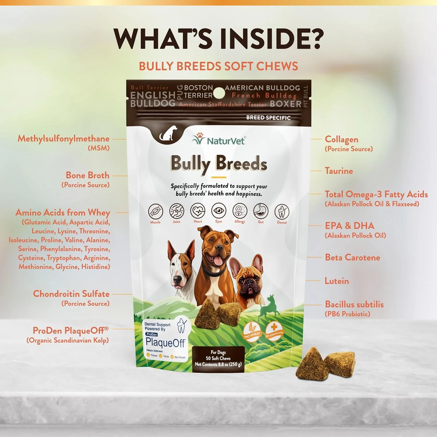 NaturVet Bulldog Breed Supplement- for Joint Support, Digestion, Skin, Coat Care- Dog Multivitamins with Minerals, Omega-3, PlaqueOff- Wheat-Free Vitamins for Dogs- Bully Breeds - Image 2