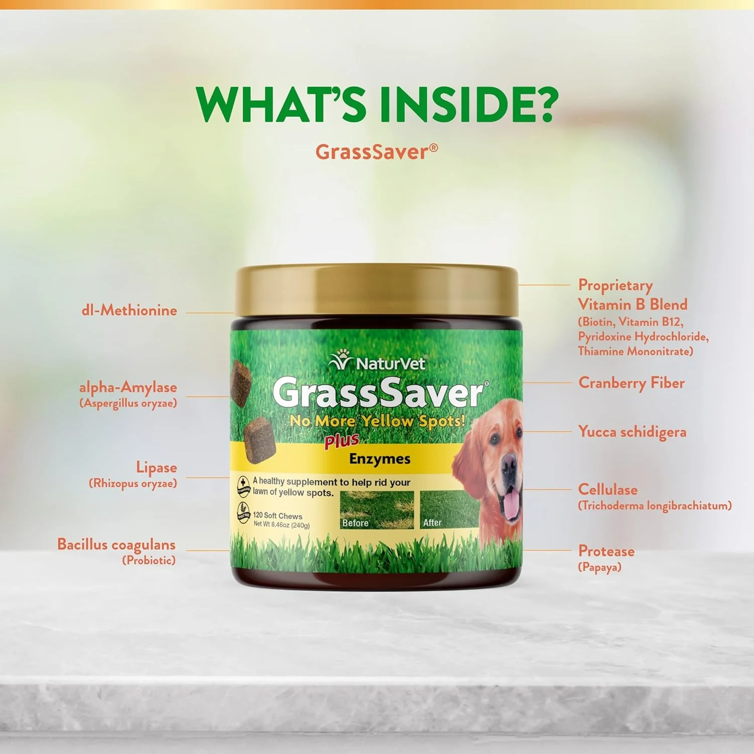 NaturVet – GrassSaver Supplement for Dogs – Healthy Supplement to Help Rid Your Lawn of Yellow Spots – Synergistic Combination of B-Complex Vitamins & Amino Acids – 120 Soft Chews - Image 3