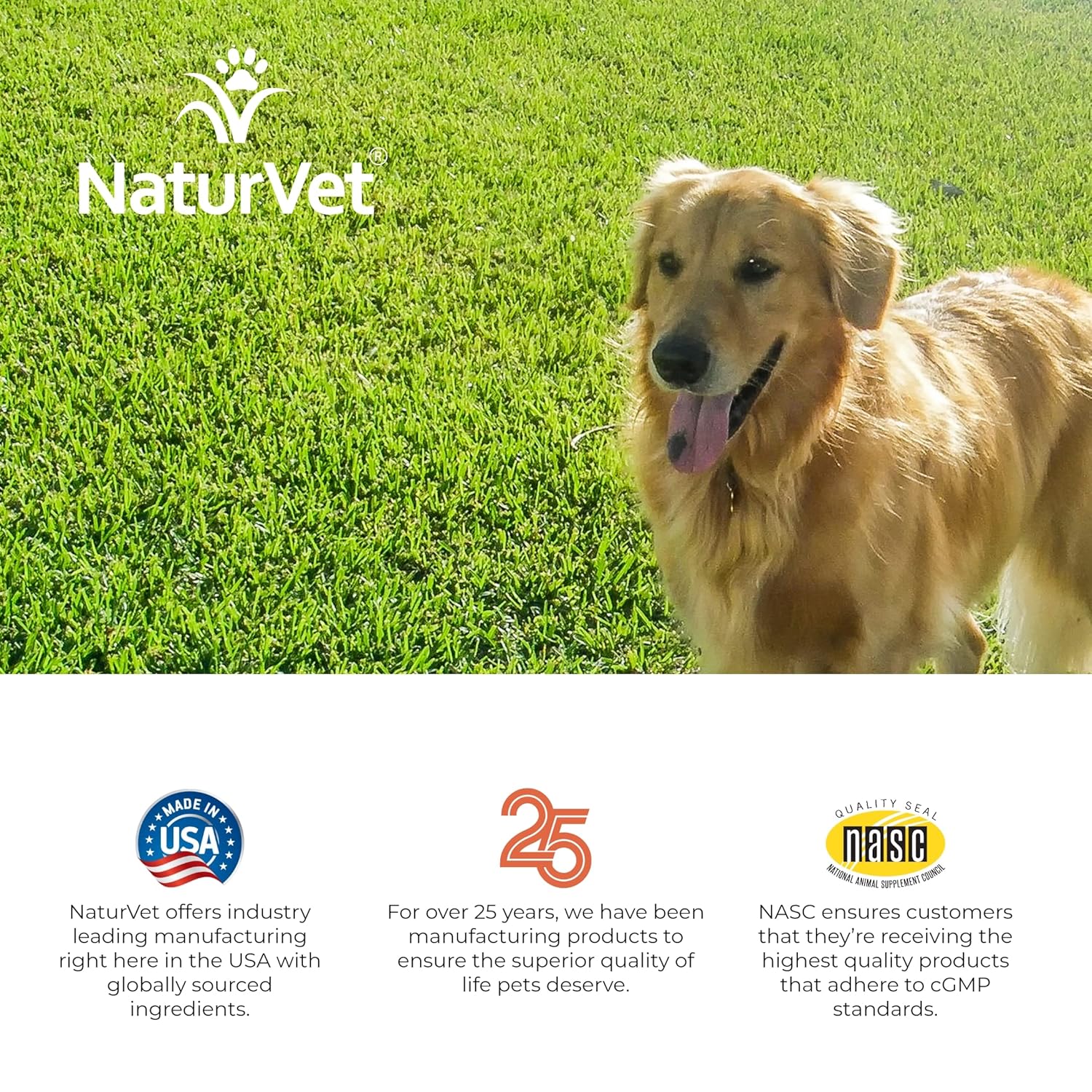 NaturVet – GrassSaver Supplement for Dogs – Healthy Supplement to Help Rid Your Lawn of Yellow Spots – Synergistic Combination of B-Complex Vitamins & Amino Acids – 120 Soft Chews - Image 6