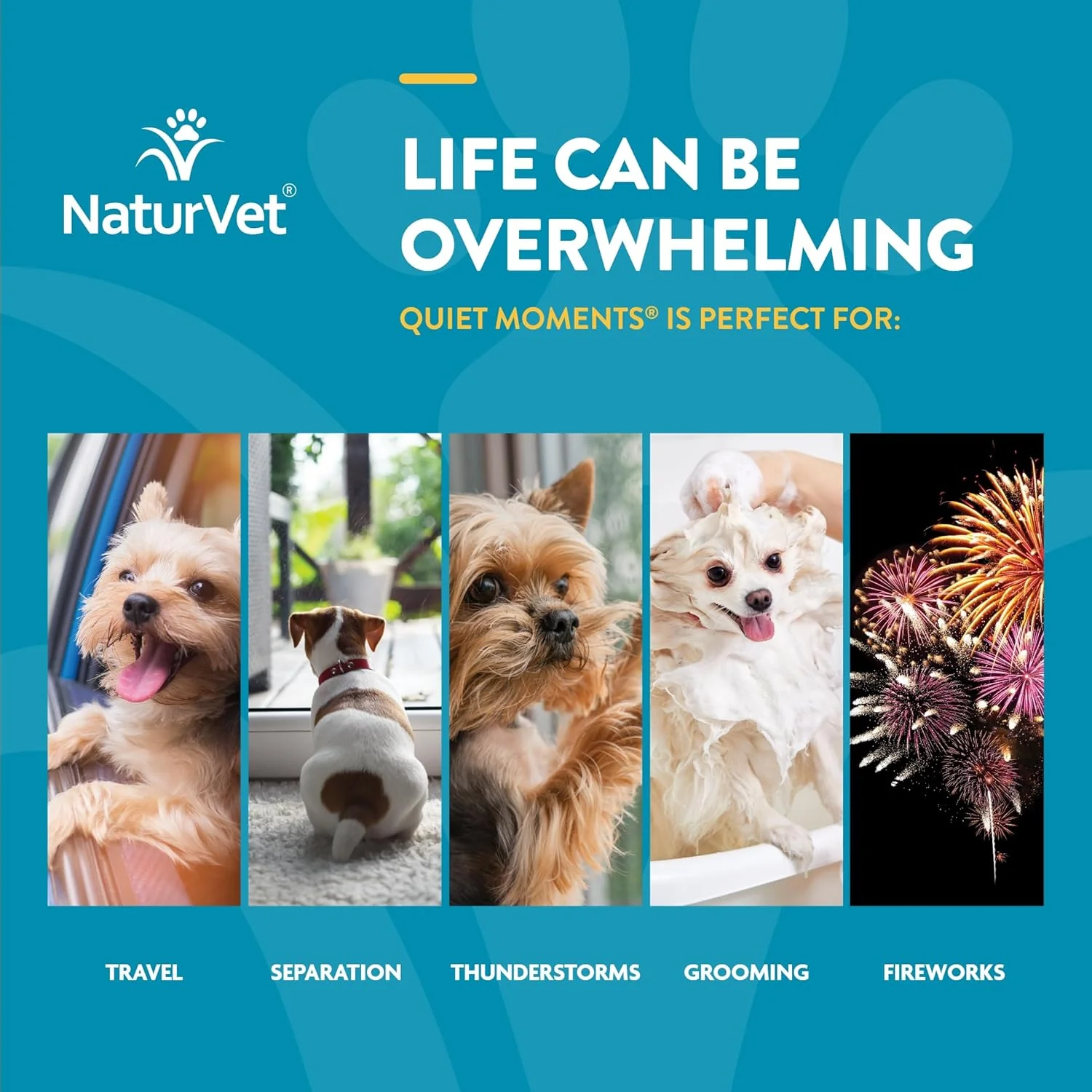 NaturVet Quiet Moments Calming Aid Dog Supplement, Helps Promote Relaxation, Reduce Stress, Storm Anxiety, Motion Sickness for Dogs (Quiet Moments, 180 Soft Chews) - Image 3