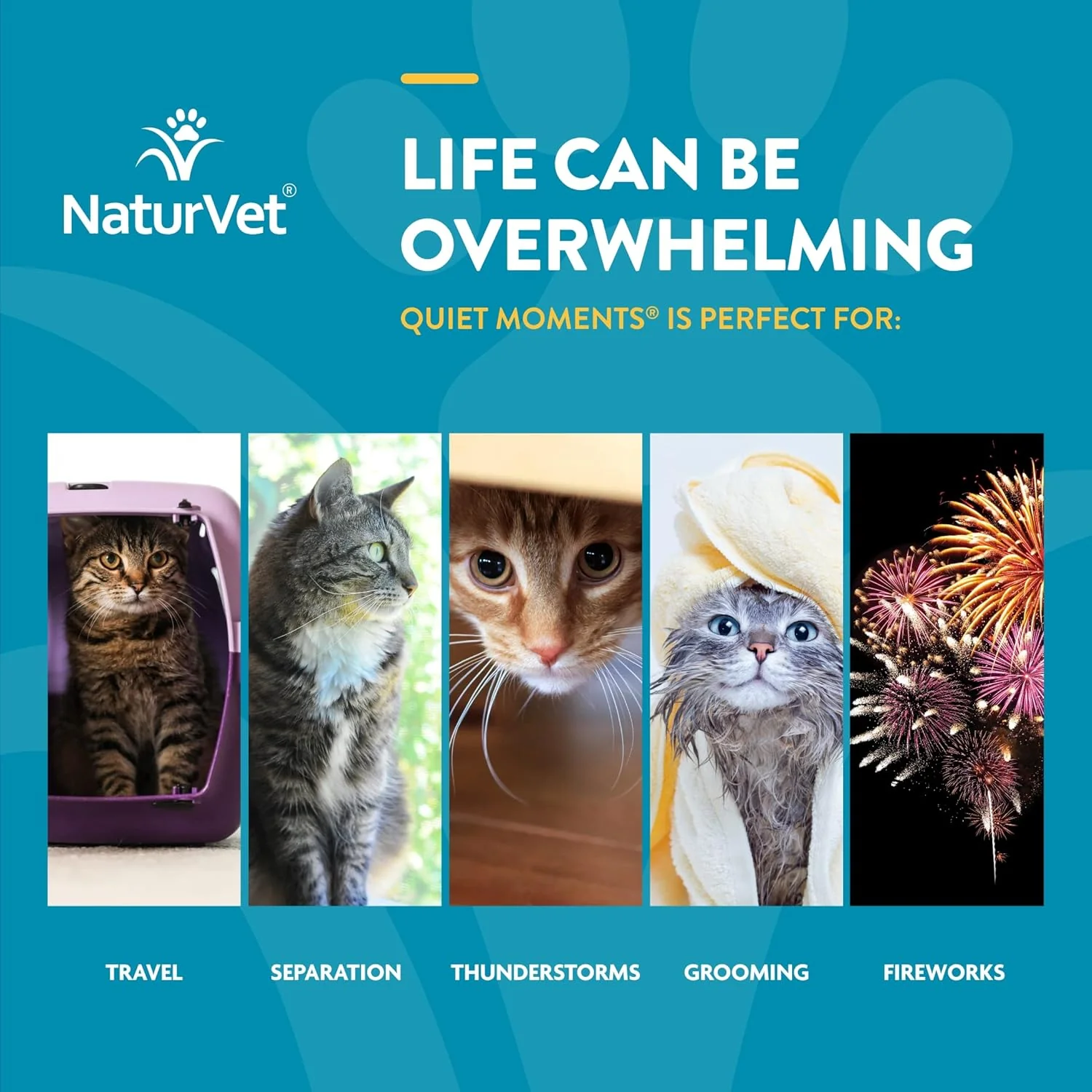 NaturVet Scoopables Quiet Moments Cat Calming Aid - Promotes Calm with Stressful Events Storms, Fireworks, Travel, Separation Anxiety - Cat Health Supplement w/Melatonin - Salmon Flavored - Image 3