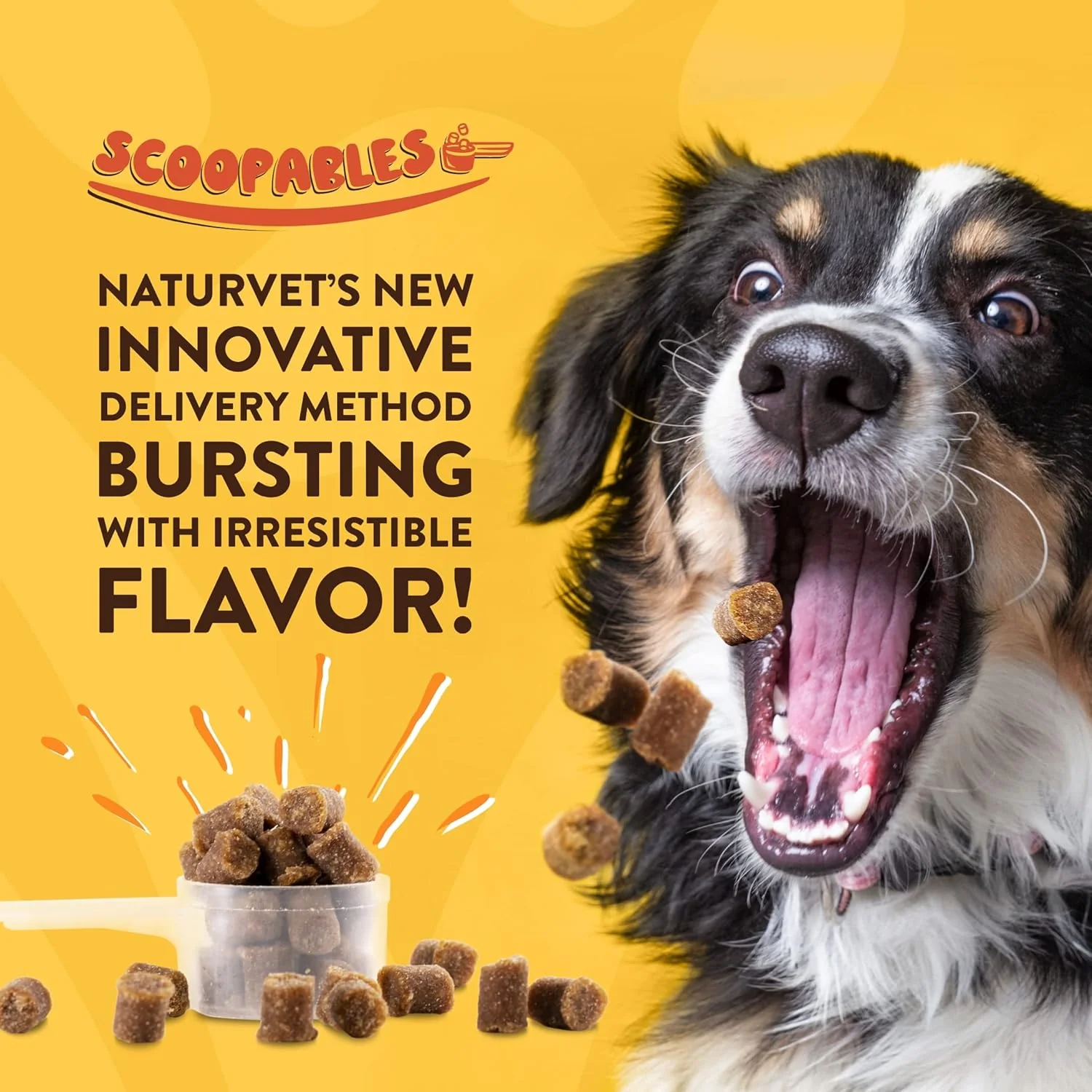 NaturVet Scoopables Quiet Moments Dog Calming Aid for Dogs - Promotes Calm with Stressful Events Like Storms, Fireworks, Travel, Separation Anxiety - Hickory Smoked Bacon Flavored - Image 2