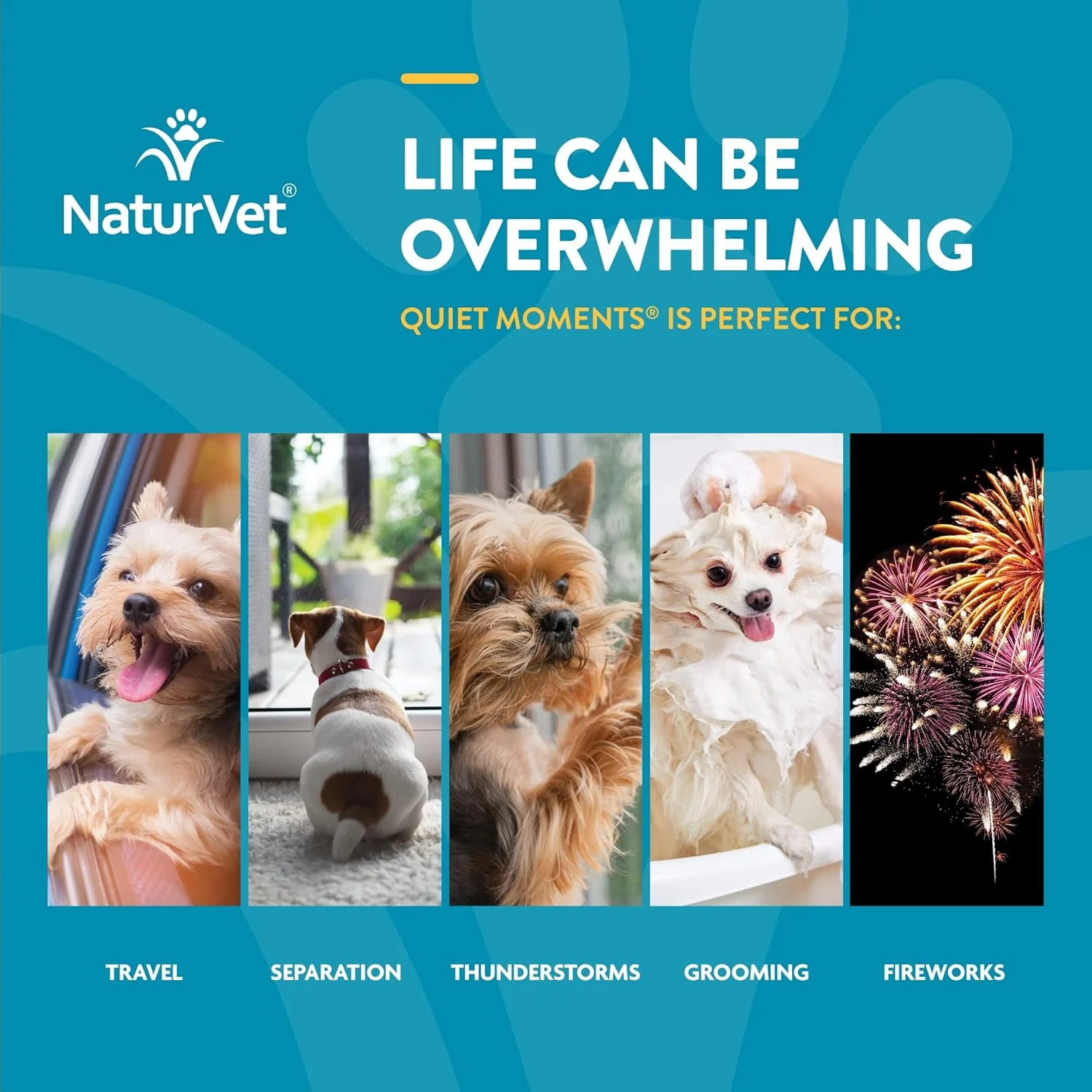 NaturVet Scoopables Quiet Moments Dog Calming Aid for Dogs - Promotes Calm with Stressful Events Like Storms, Fireworks, Travel, Separation Anxiety - Hickory Smoked Bacon Flavored - Image 5
