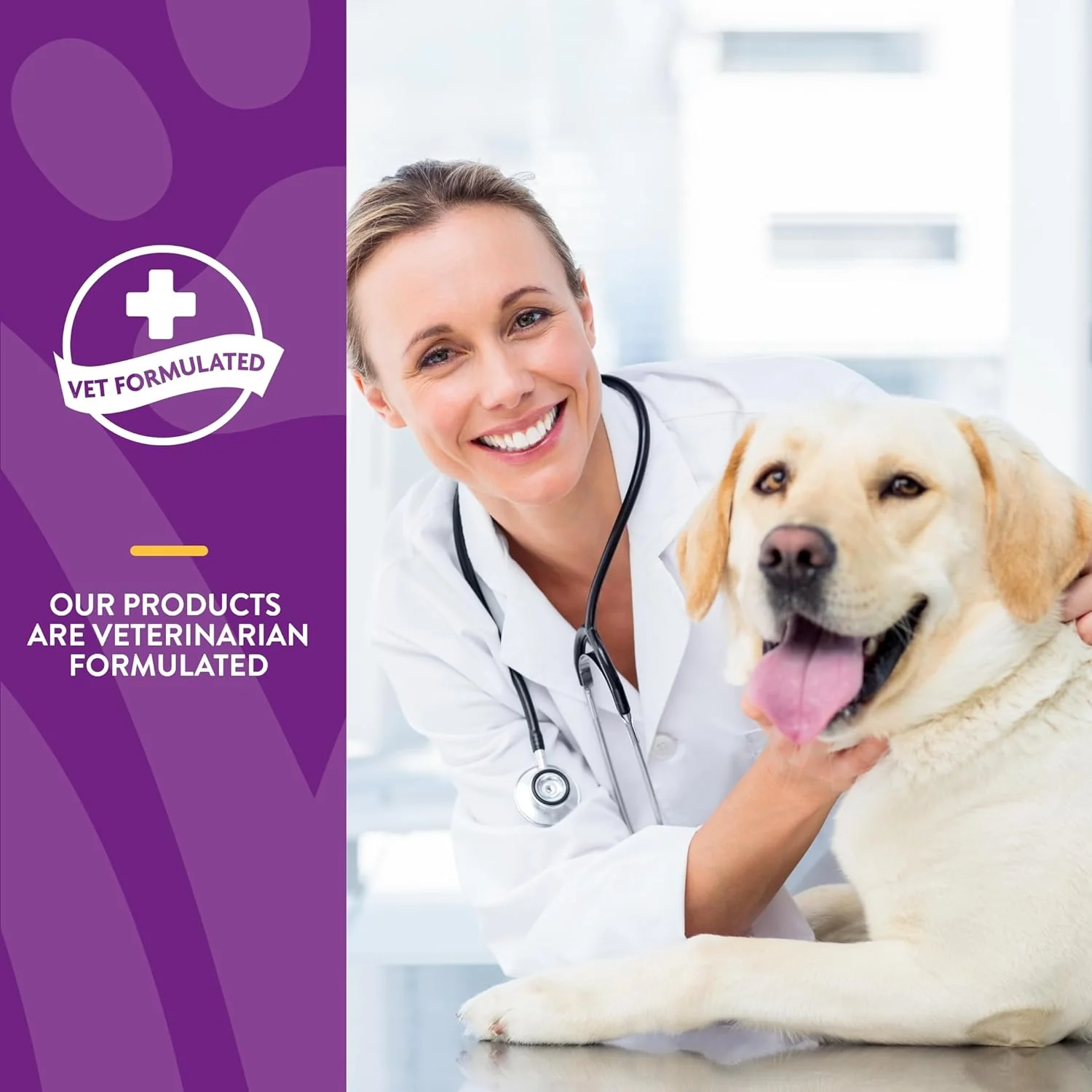 NaturVet VitaPet Adult Daily Vitamins Plus Breath Aid for Adult Dogs, 60 ct Soft Chews, Made in The USA with Globally Source Ingredients - Image 2