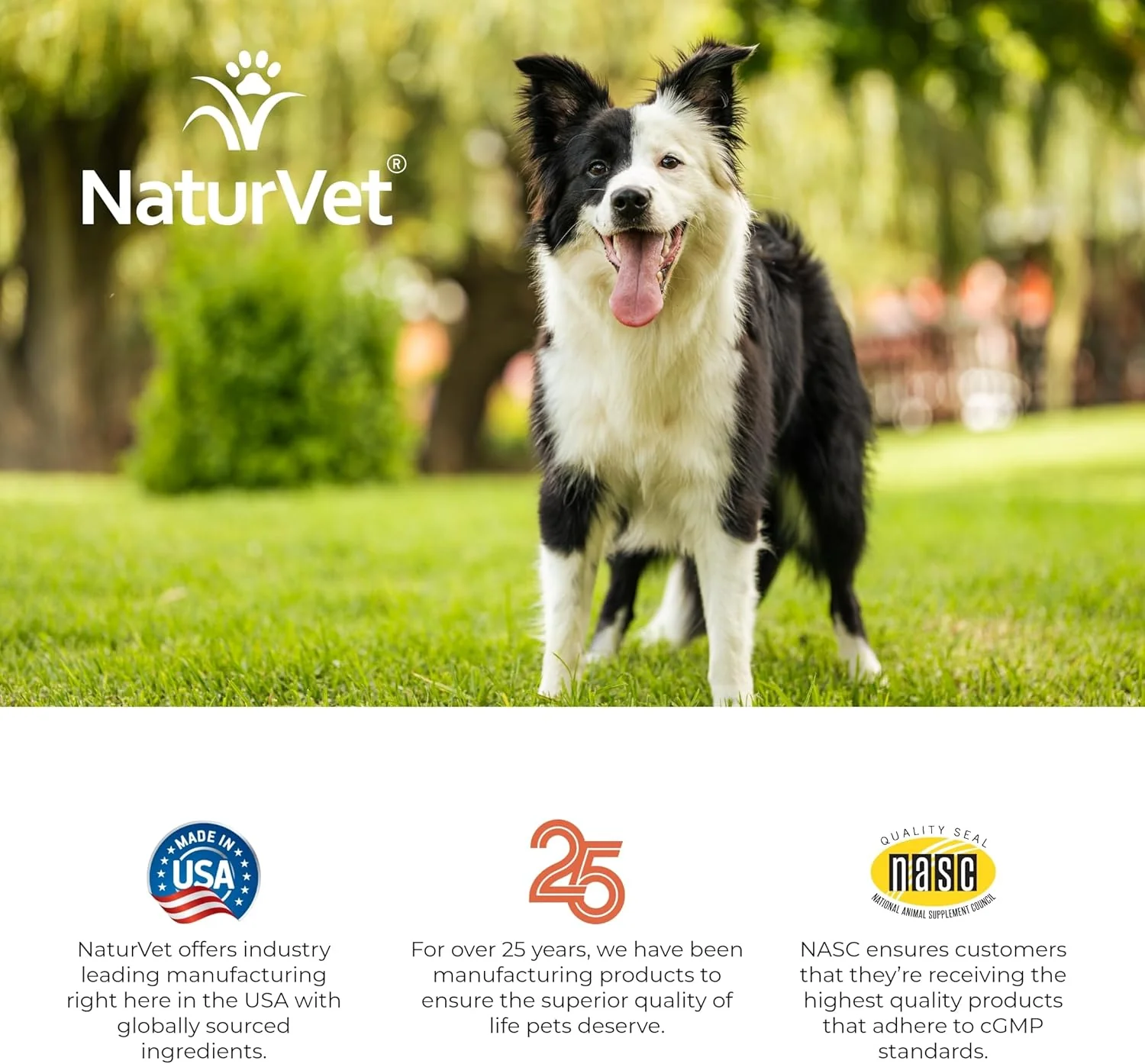 NaturVet VitaPet Adult Daily Vitamins Plus Breath Aid for Adult Dogs, 60 ct Soft Chews, Made in The USA with Globally Source Ingredients - Image 4