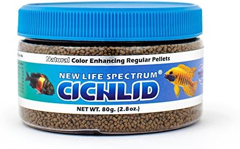 New Life Spectrum Cichlid - Image 2
