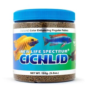 New Life Spectrum Cichlid - Image 5
